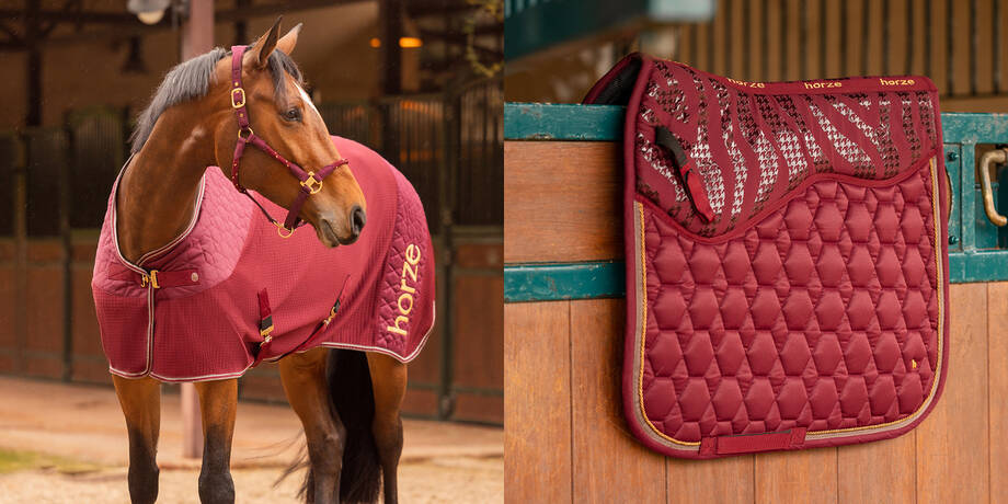 Accessori e attrezzatura per cavalli