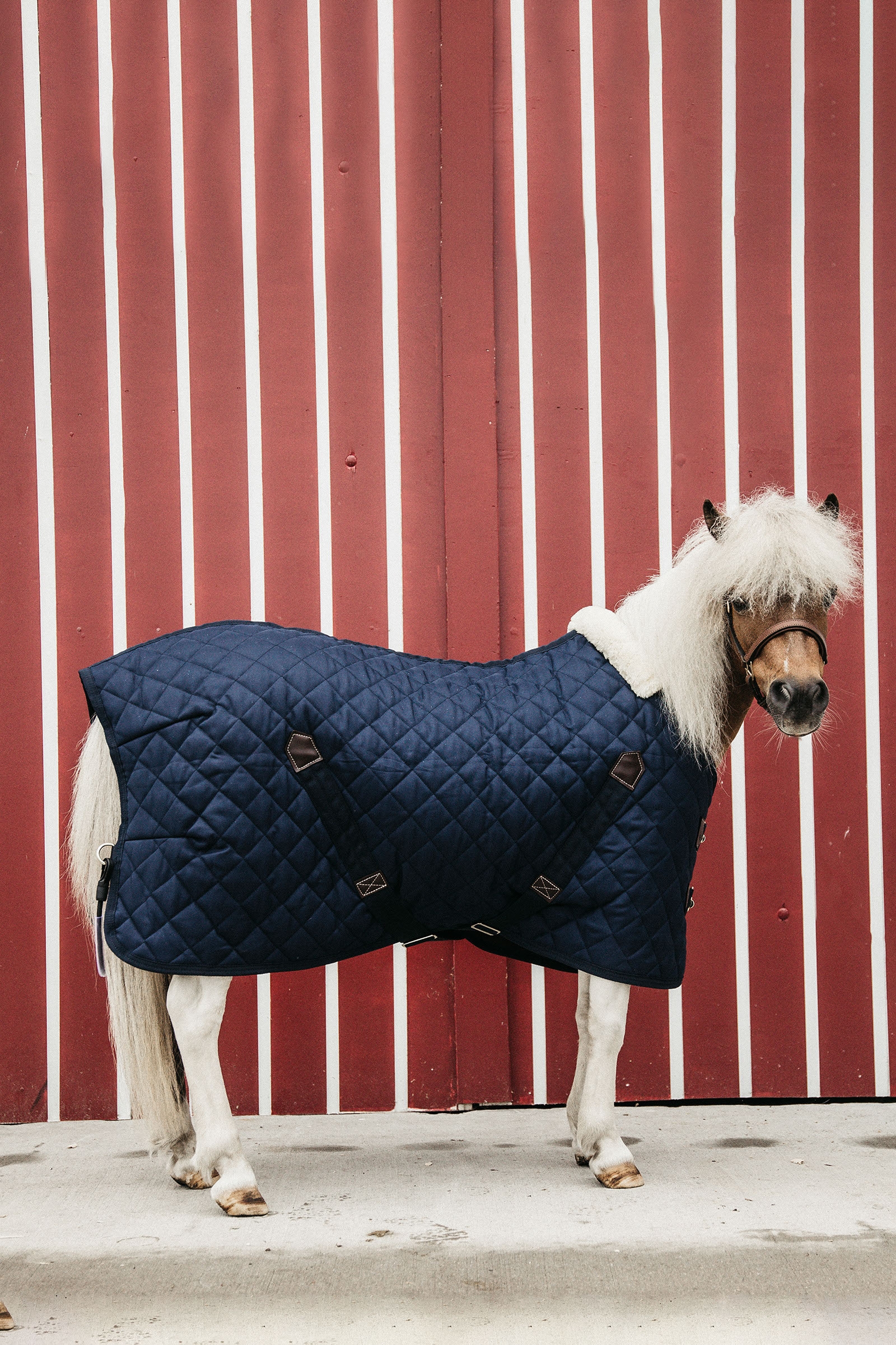 Coperta da scuderia Kentucky Horsewear Tiny Pony, 400 g