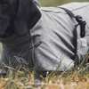 Back on Track Nella All-Round Dog Coat, 40-50cm