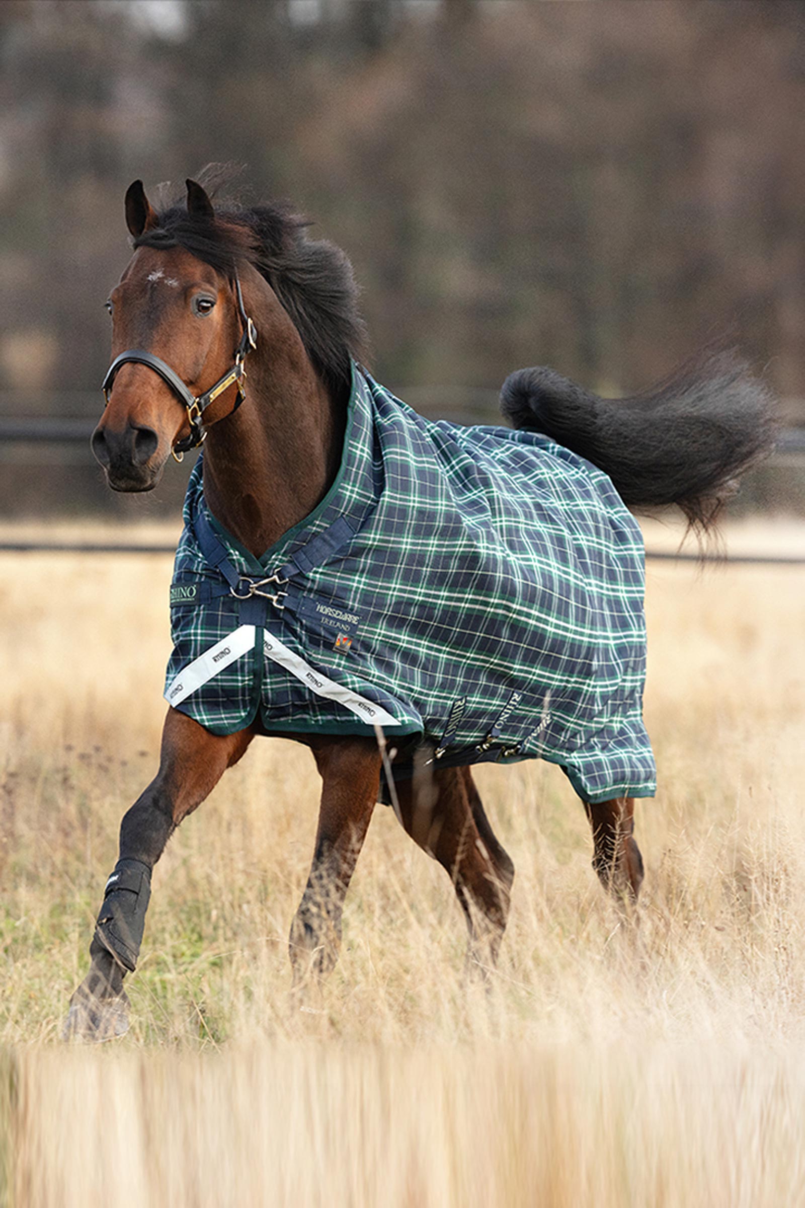 Horseware Rhino Wug Vari-Layer Coperta da turnout leggera con collo alto, 250g
