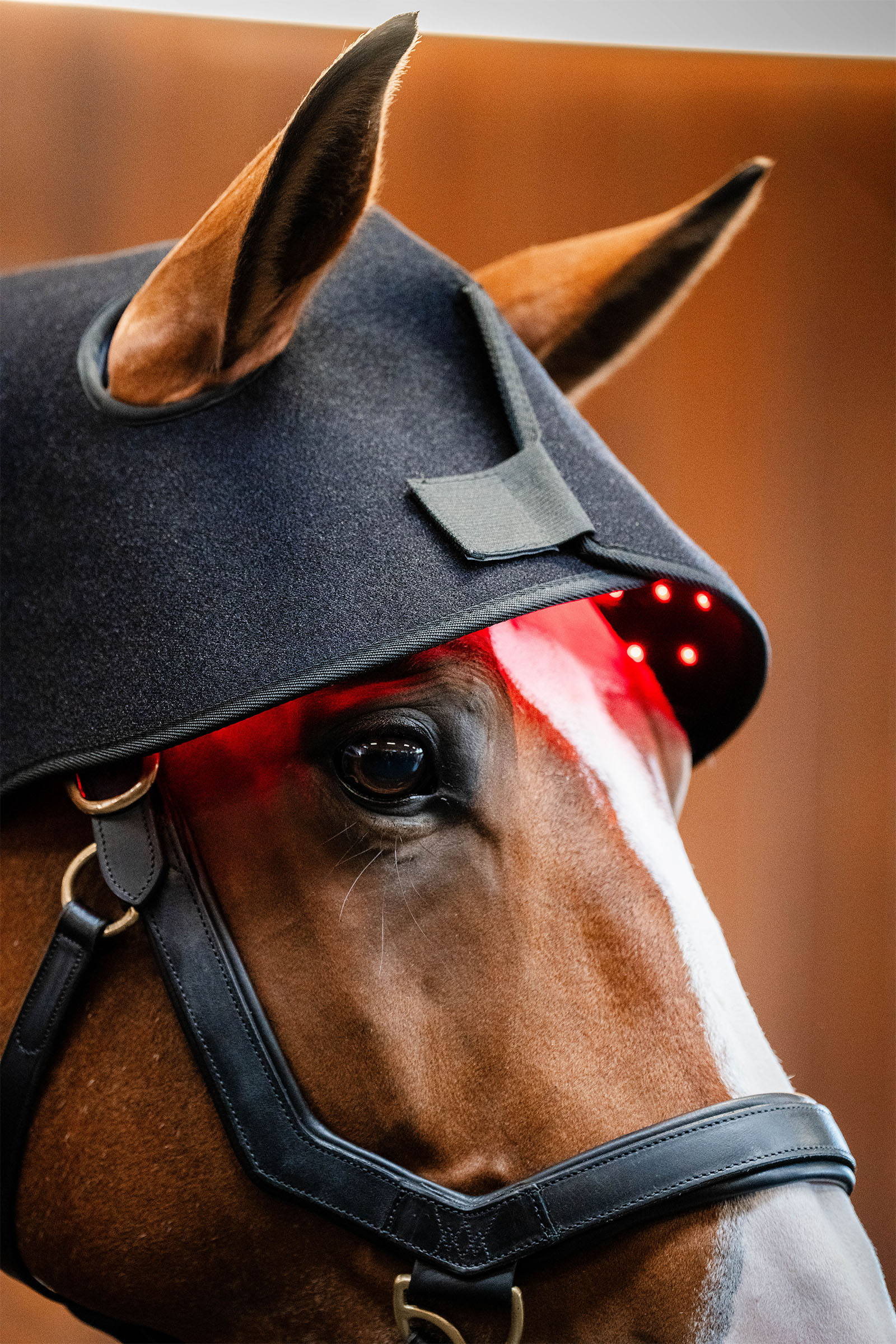 Horseware cappuccio terapeutico a LED con luce rossa per la nuca