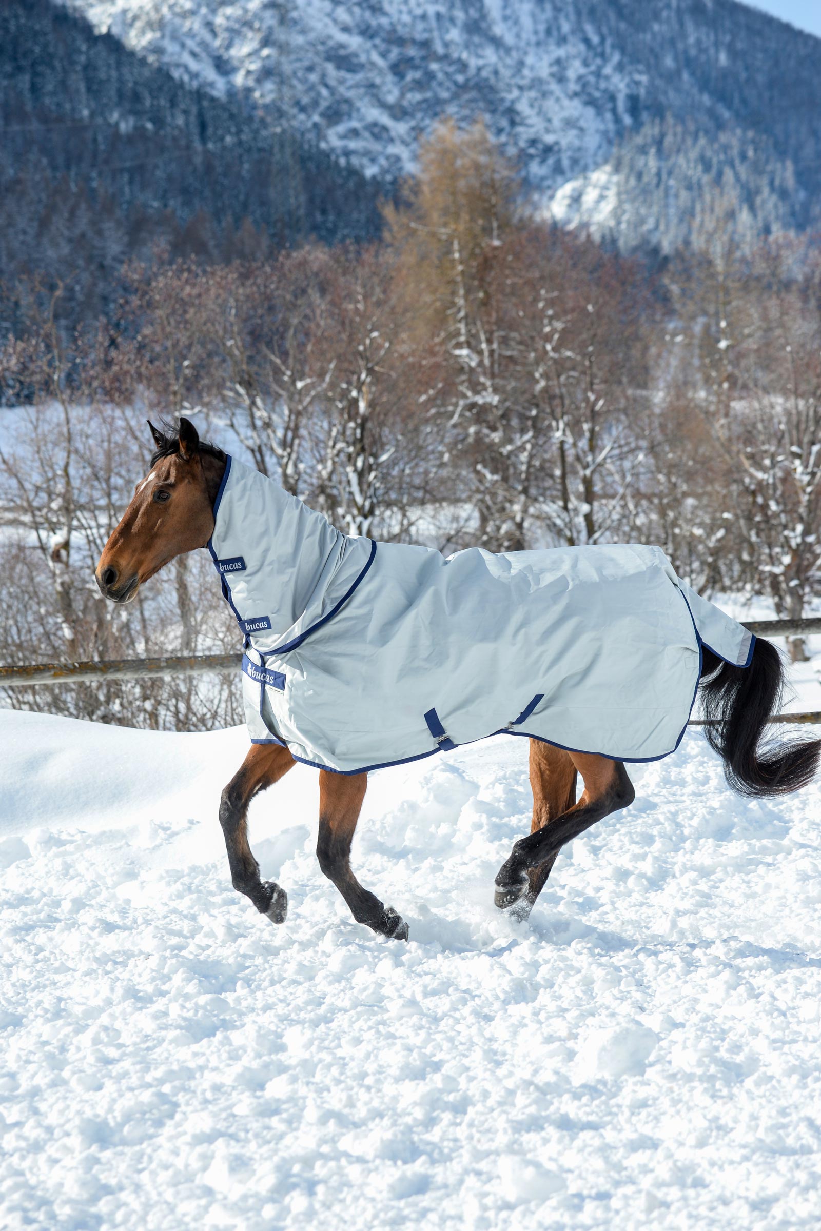 Bucas Power colletto per coperta da turnout, 300g