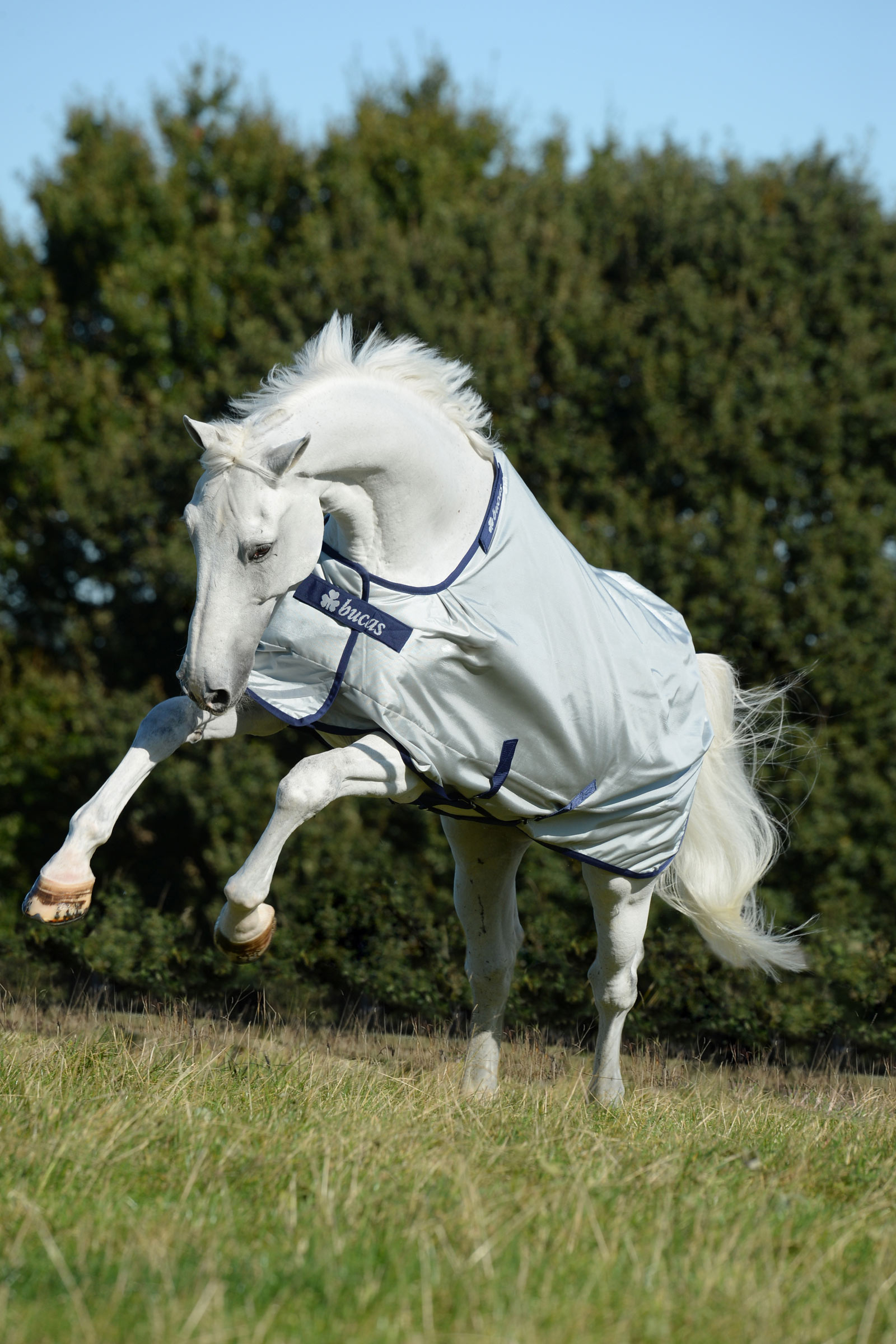 Bucas Power coperta da turnout con ampia scollatura, 0g