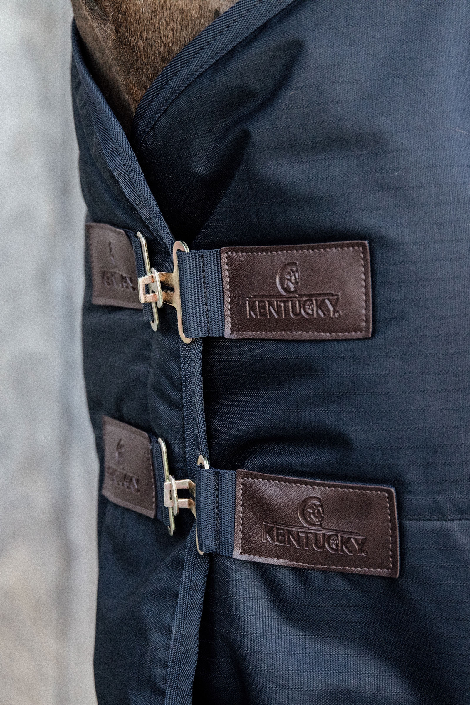 Tappeto Kentucky Horsewear Turnout, impermeabile per tutte le condizioni atmosferiche, classico, 150 g