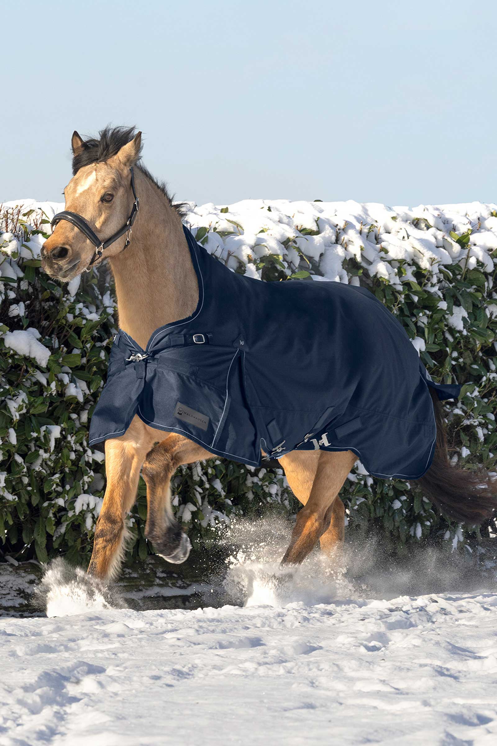 Waldhausen Scandic Coperta da turnout leggera con collo alto, 200 g