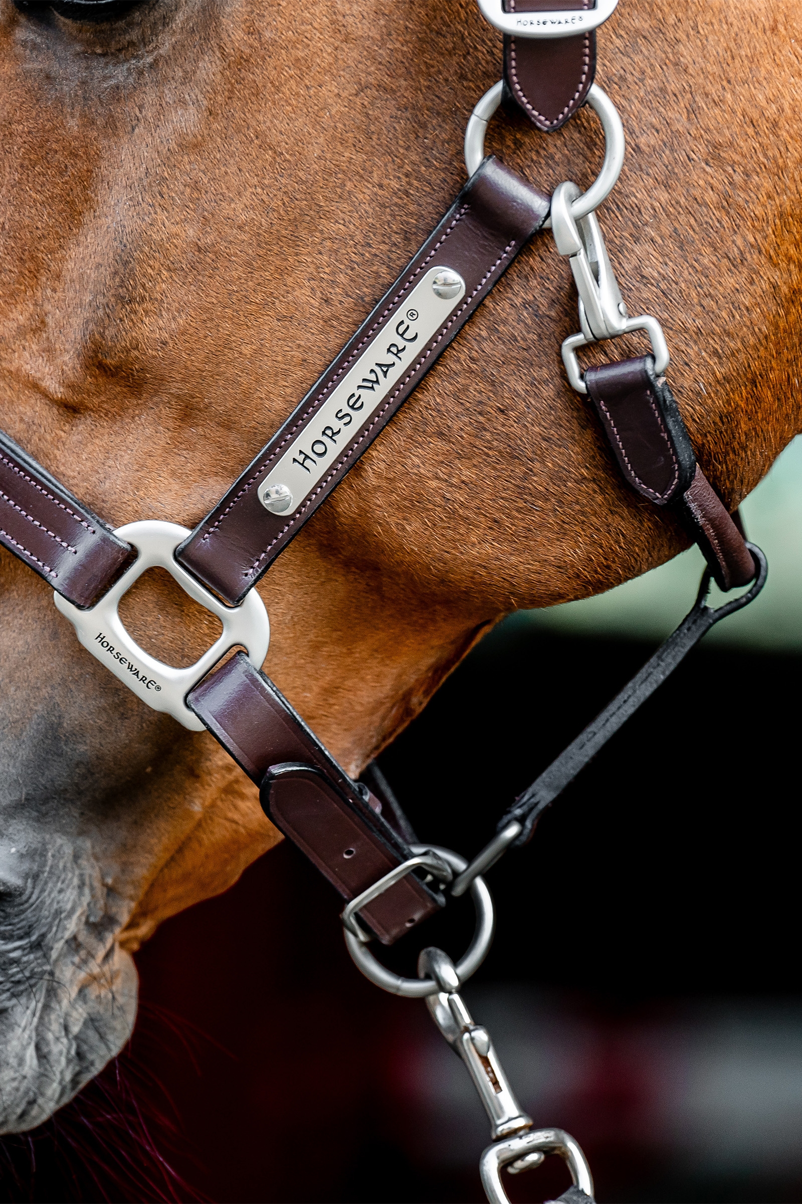Cavezza in cuoio Horseware Signature