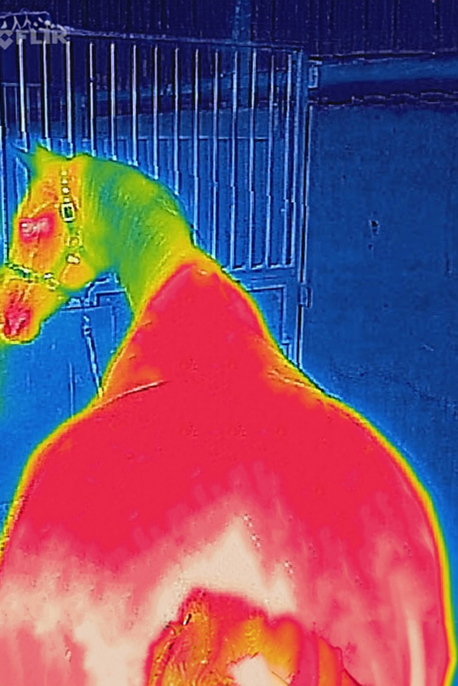 Bucas Therapy Mesh Coperta antisudore