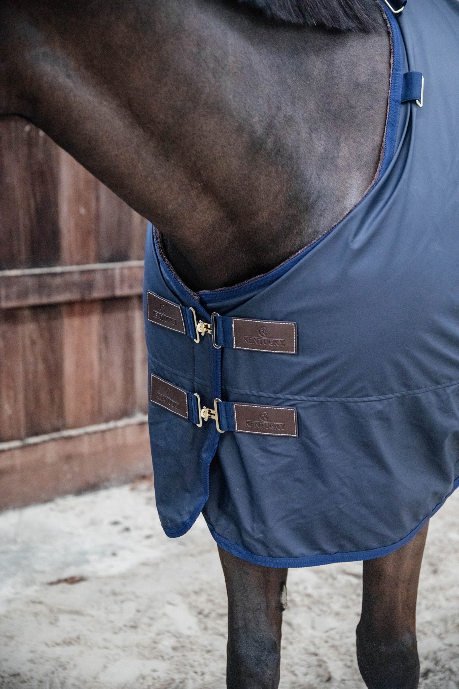 Kentucky Horsewear All Weather Hurricane Turnout, 0g
