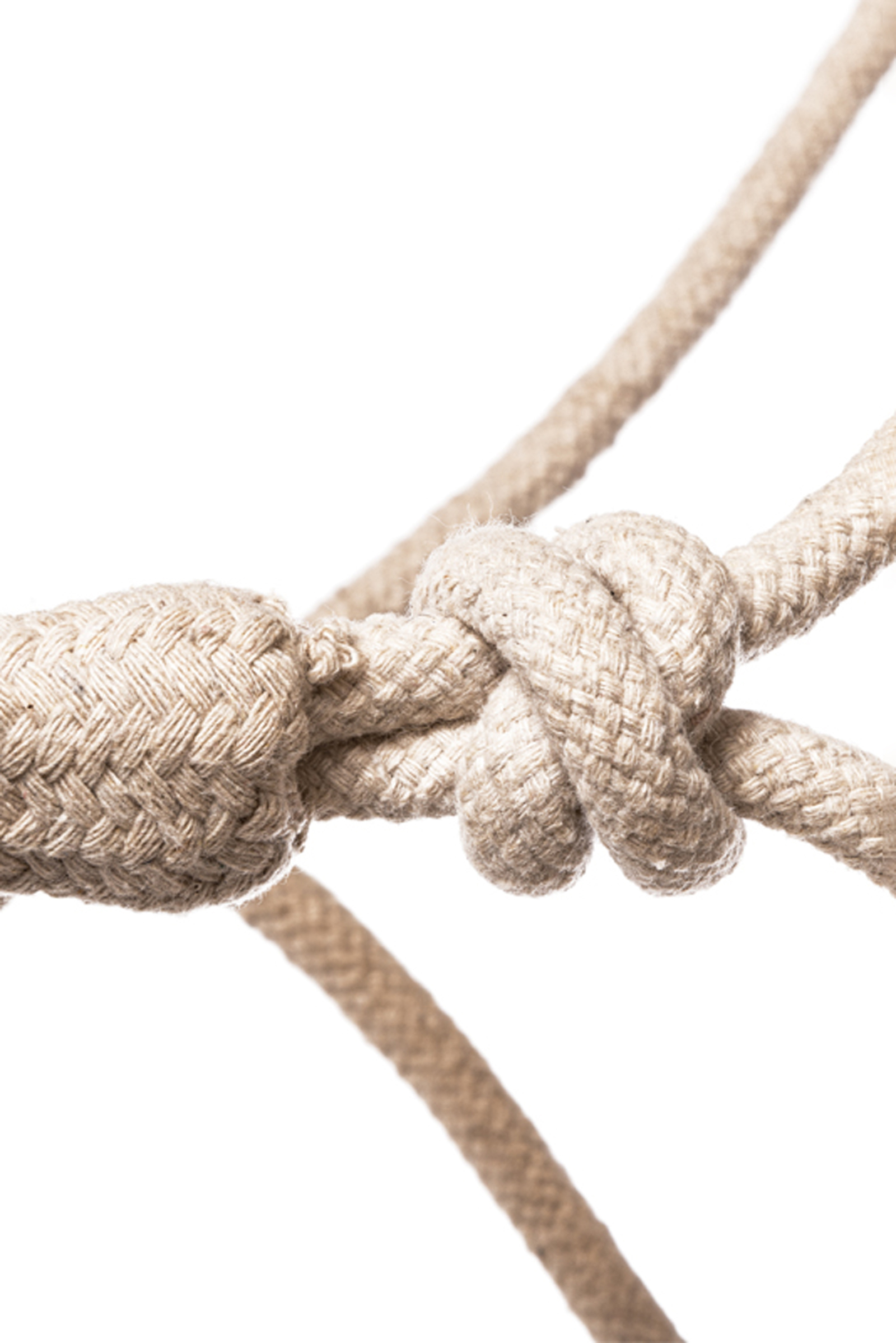 Kavalkade Nodi cavallo in corda