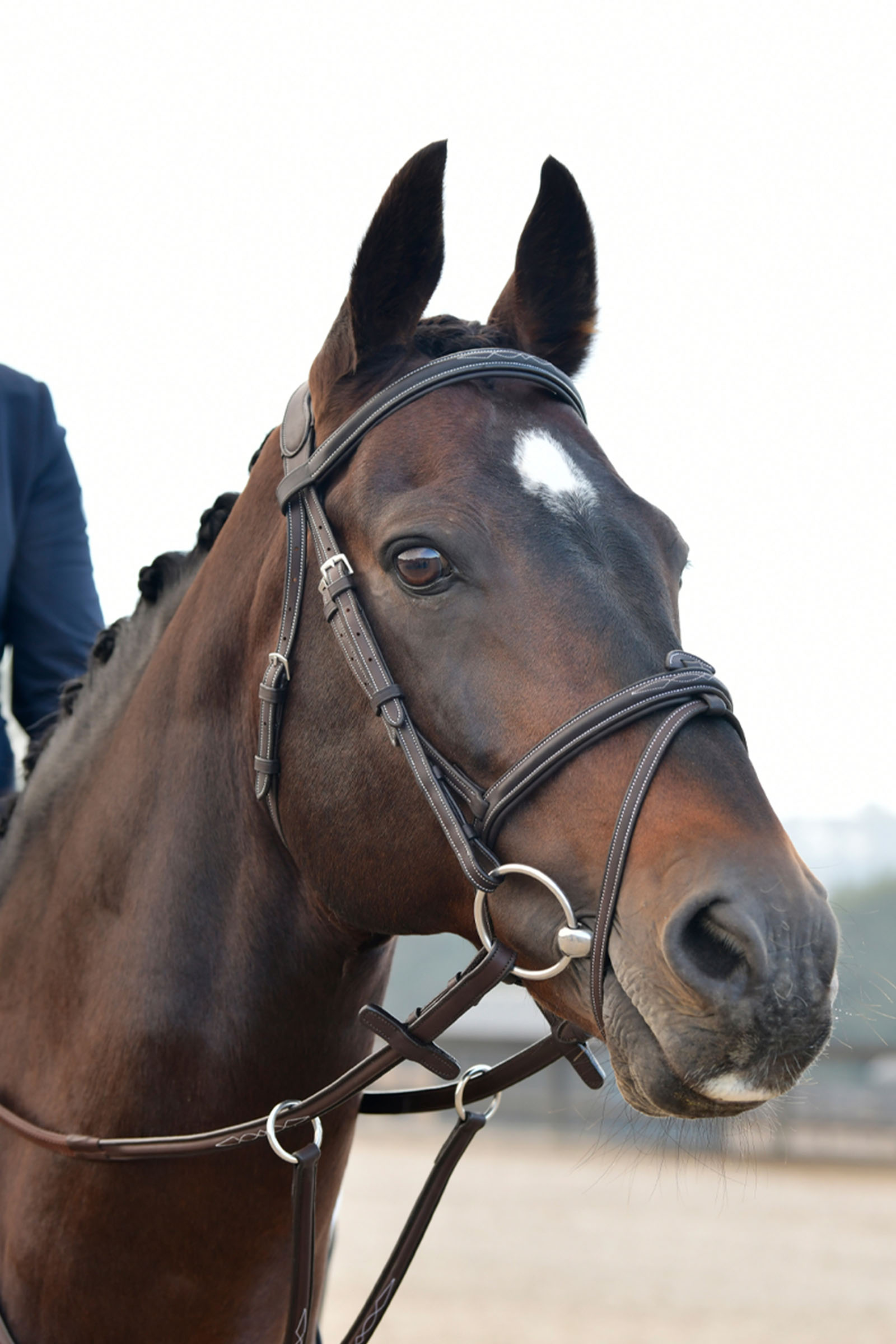 Collegiate Comfitec Opulux Fancy Stitch testiera hanoveriana imbottita