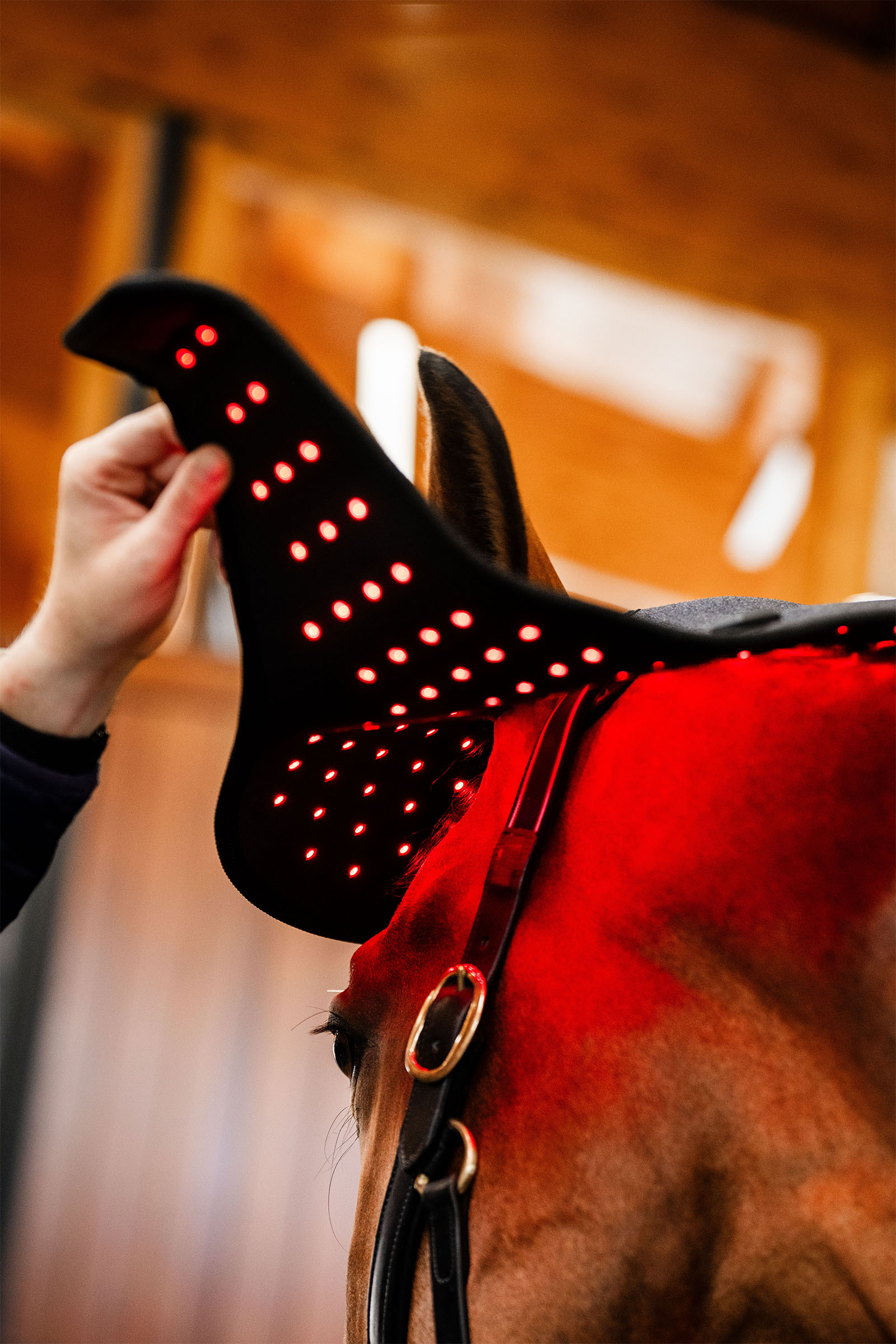 Horseware cappuccio terapeutico a LED con luce rossa per la nuca