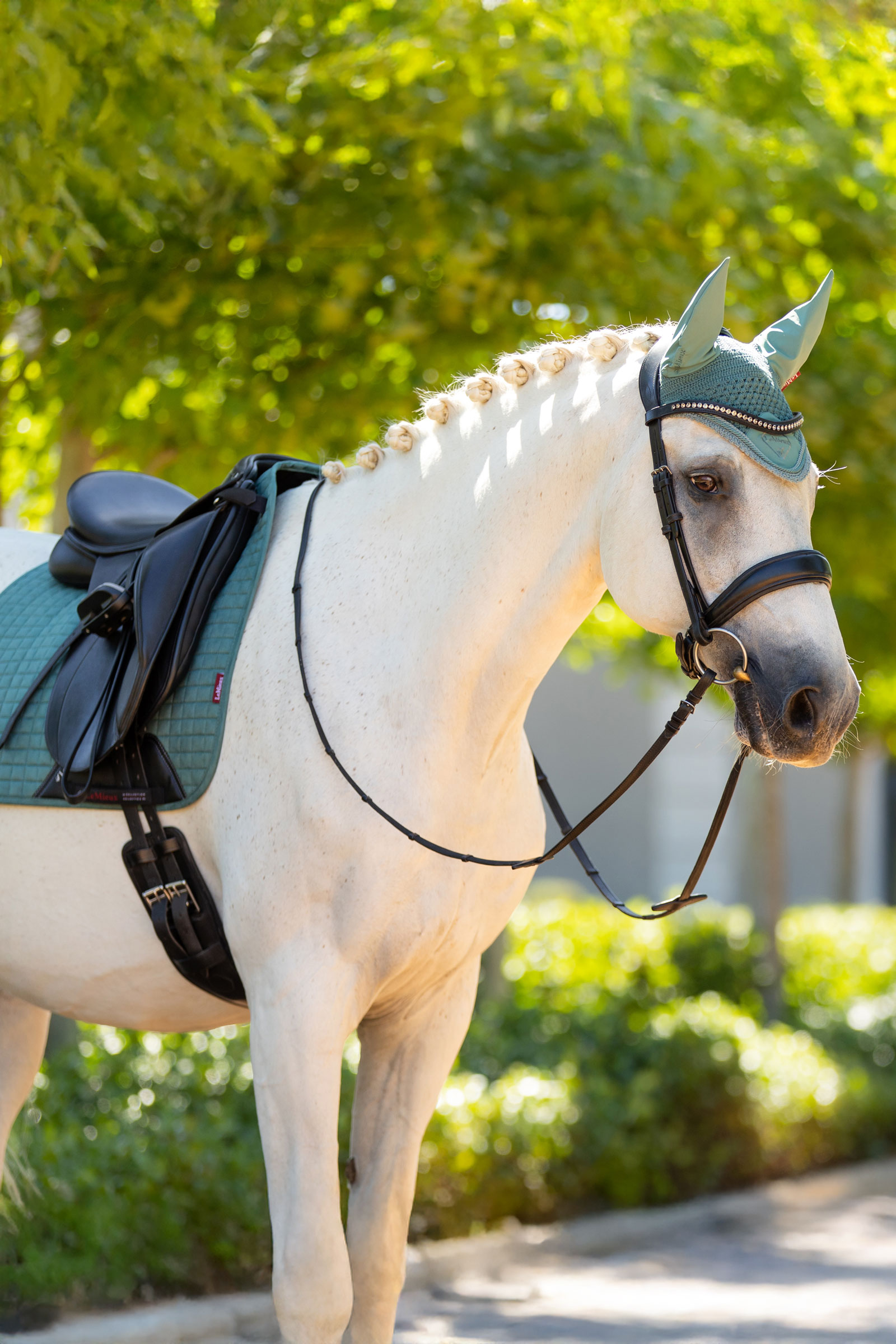 LeMieux Suede sottosella dressage