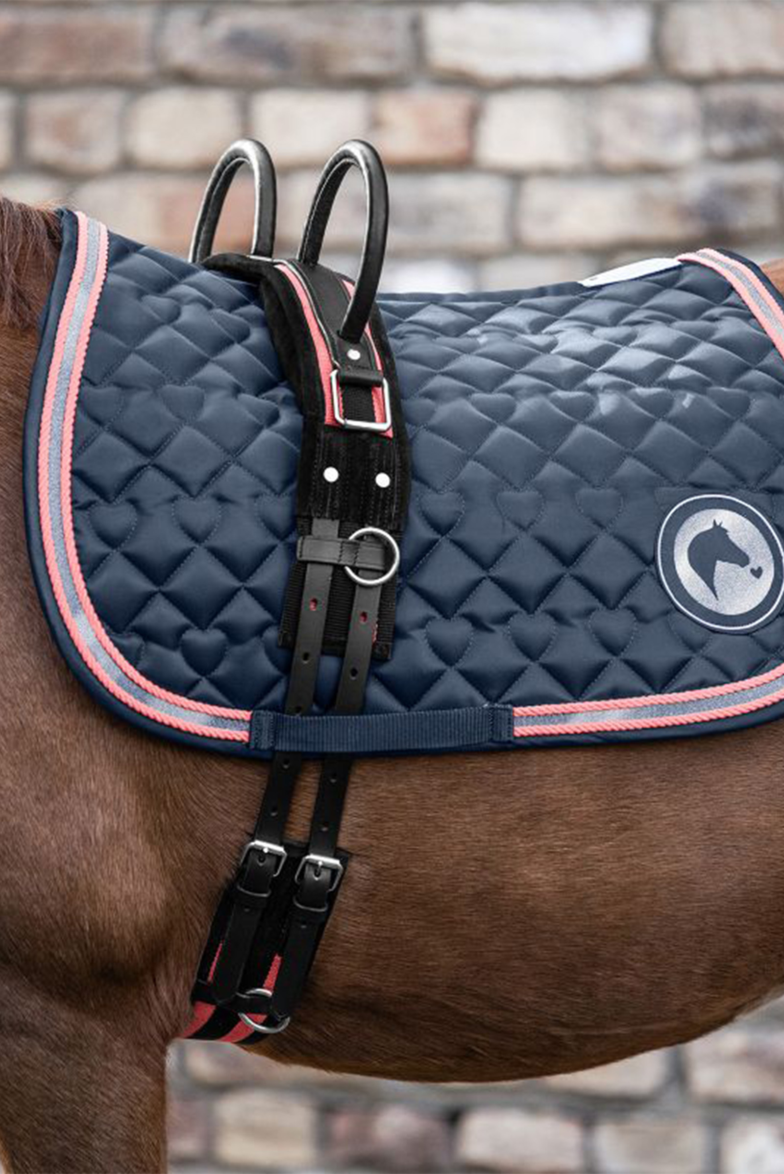 Waldhausen Surcingle con due maniglie