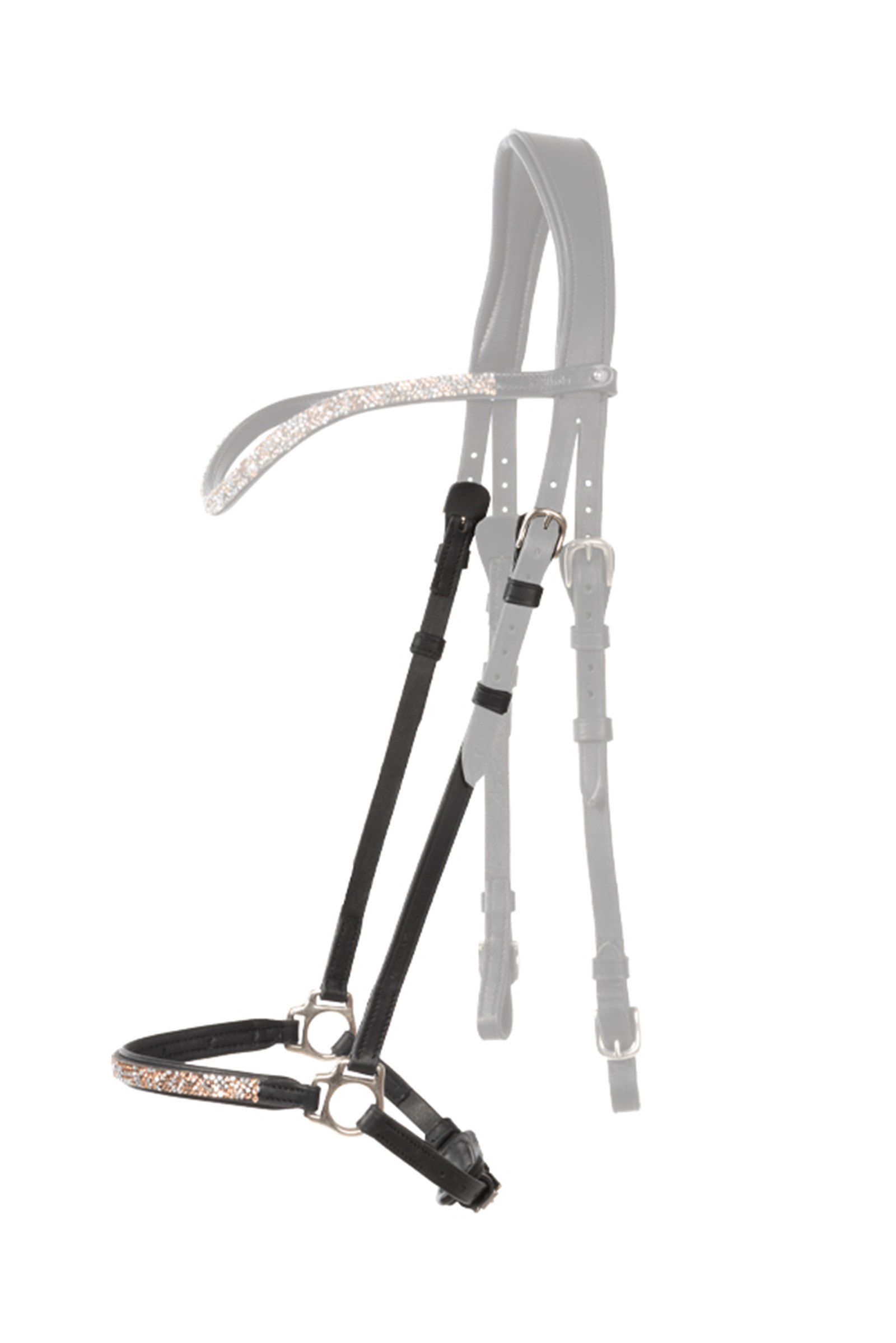 Kavalkade Ferskja Nasello ribassato per la briglia islandese Aradis