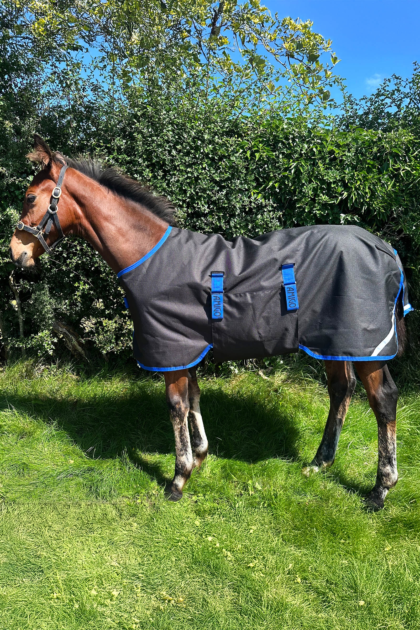 Horseware Amigo Ripstop 900D coperta da paddock per puledri 50g