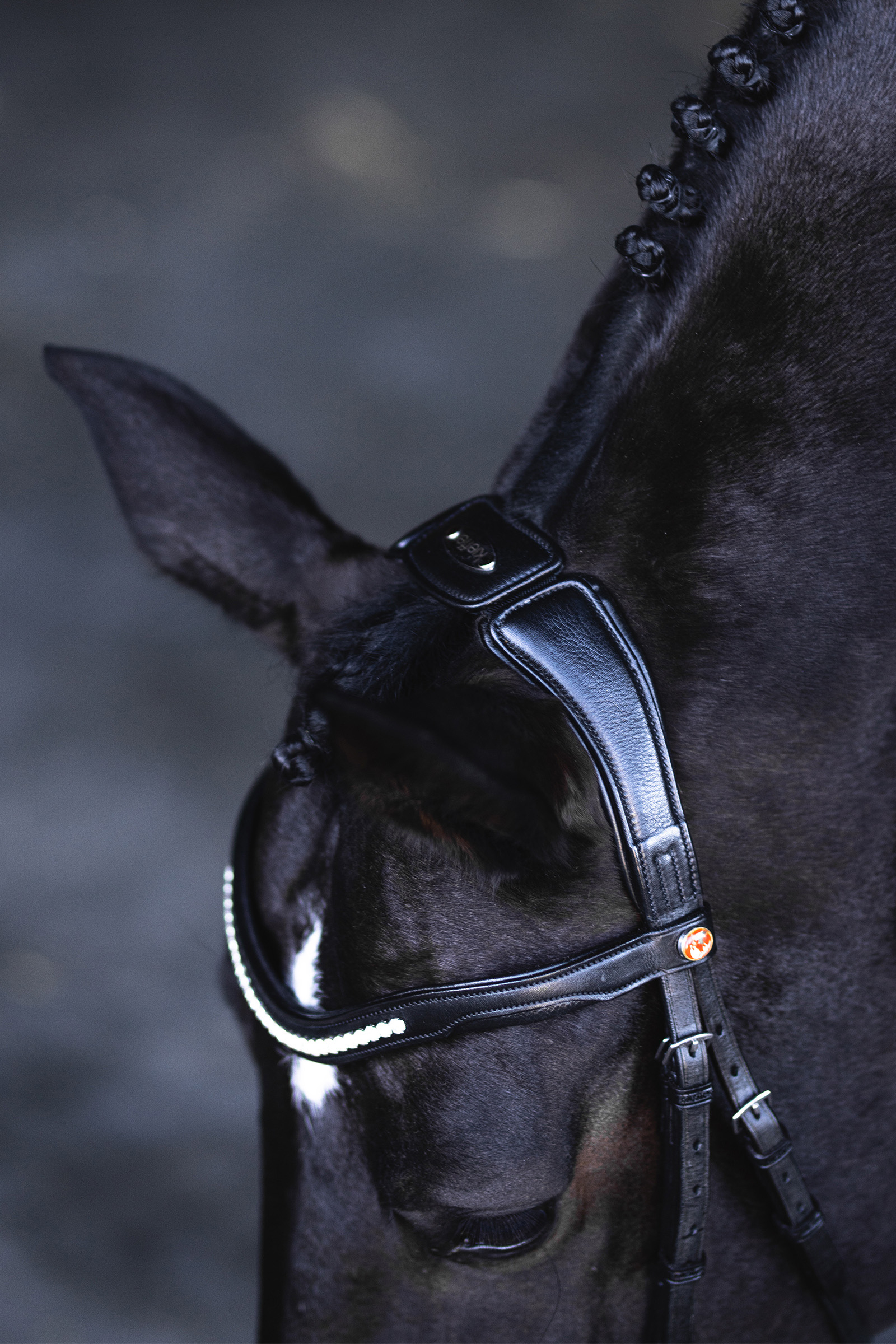 Kieffer Ultrasoft® Luna Briglia Snaffle