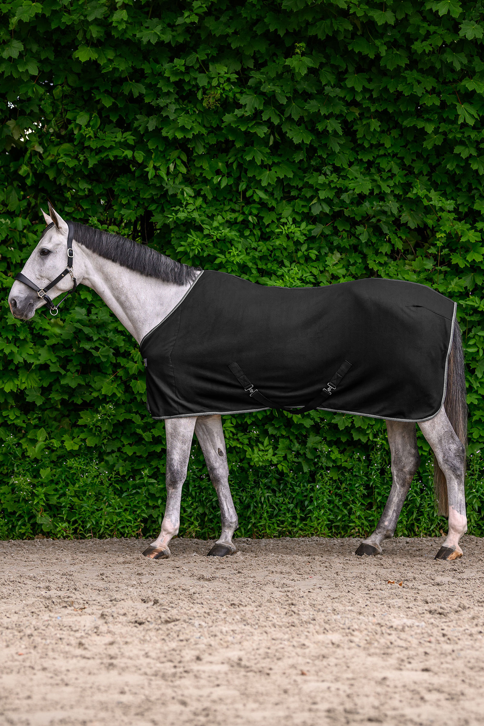 Waldhausen ECONOMIC coperta in pile con sottopancia incrociati