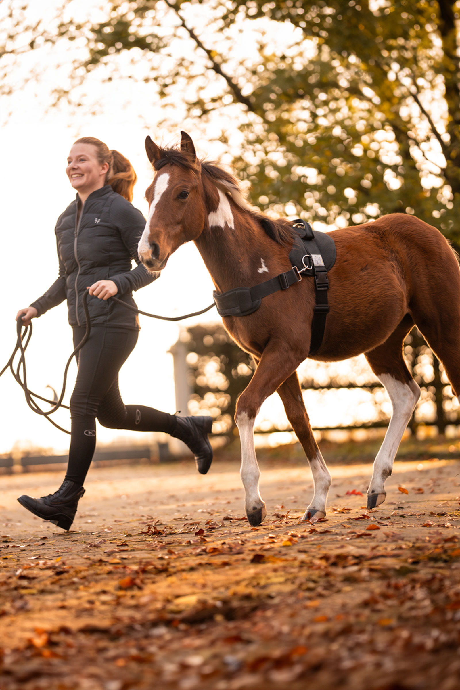 Kavalkade Foalmaster imbracatura per puledro con manico