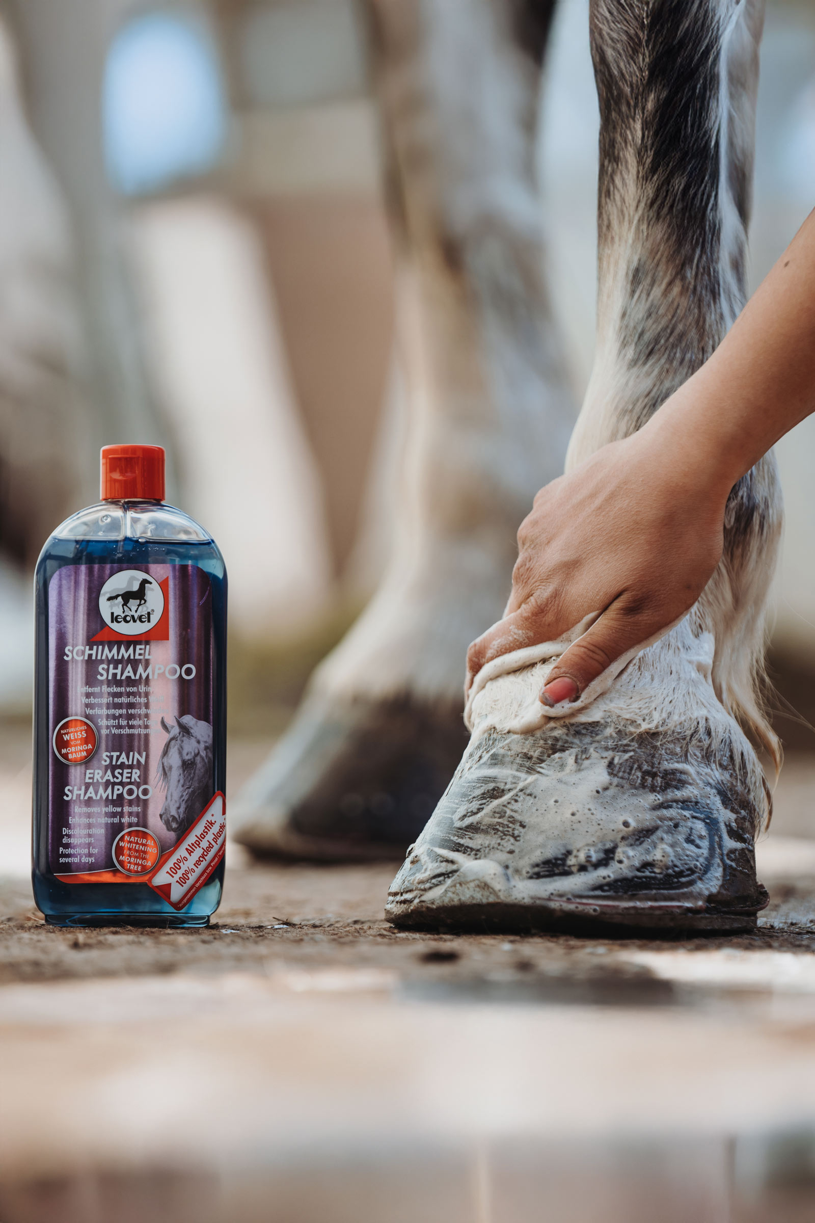 Shampoo antimacchia Leovet