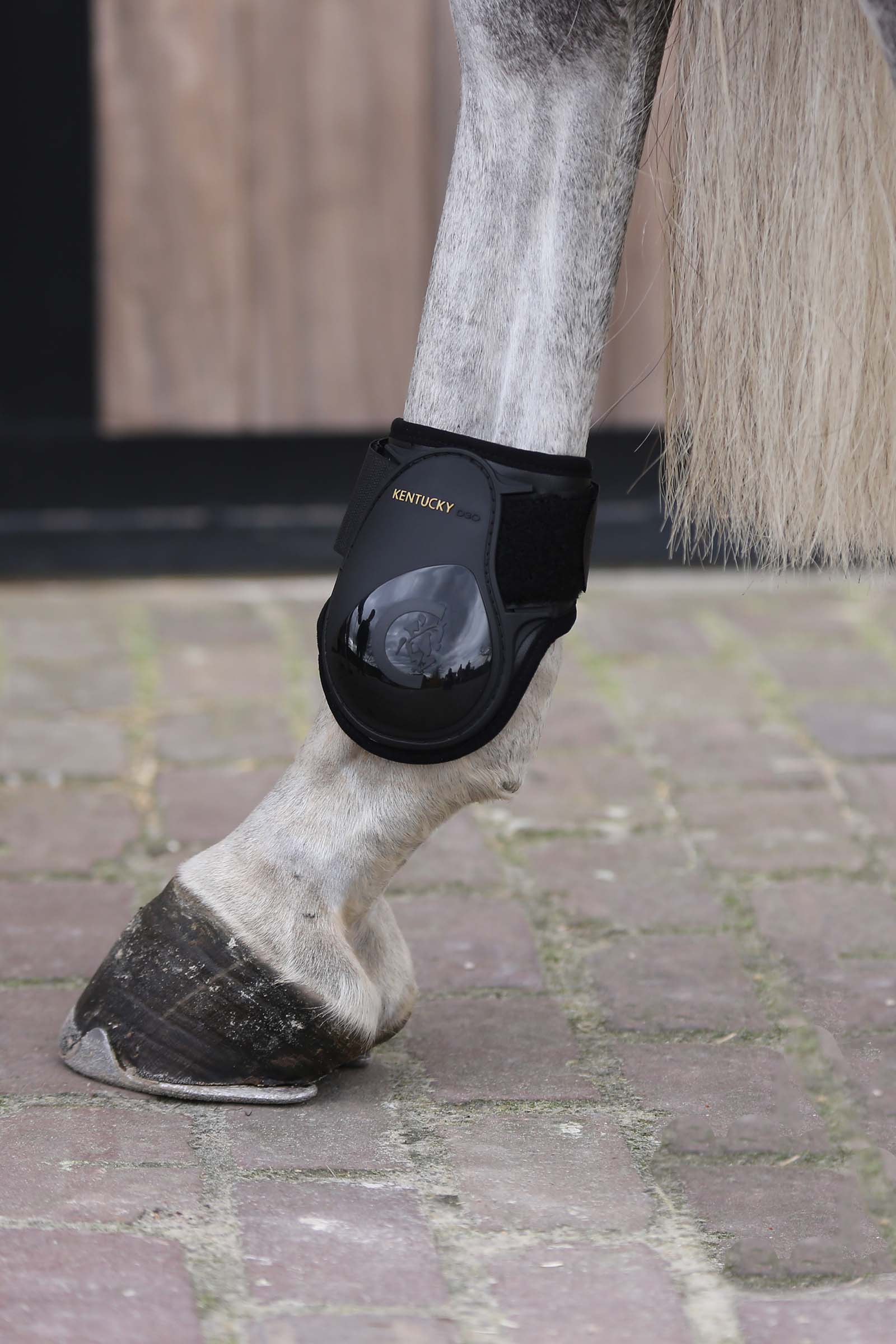 Kentucky Horsewear Stivali paratendini per cavalli giovani