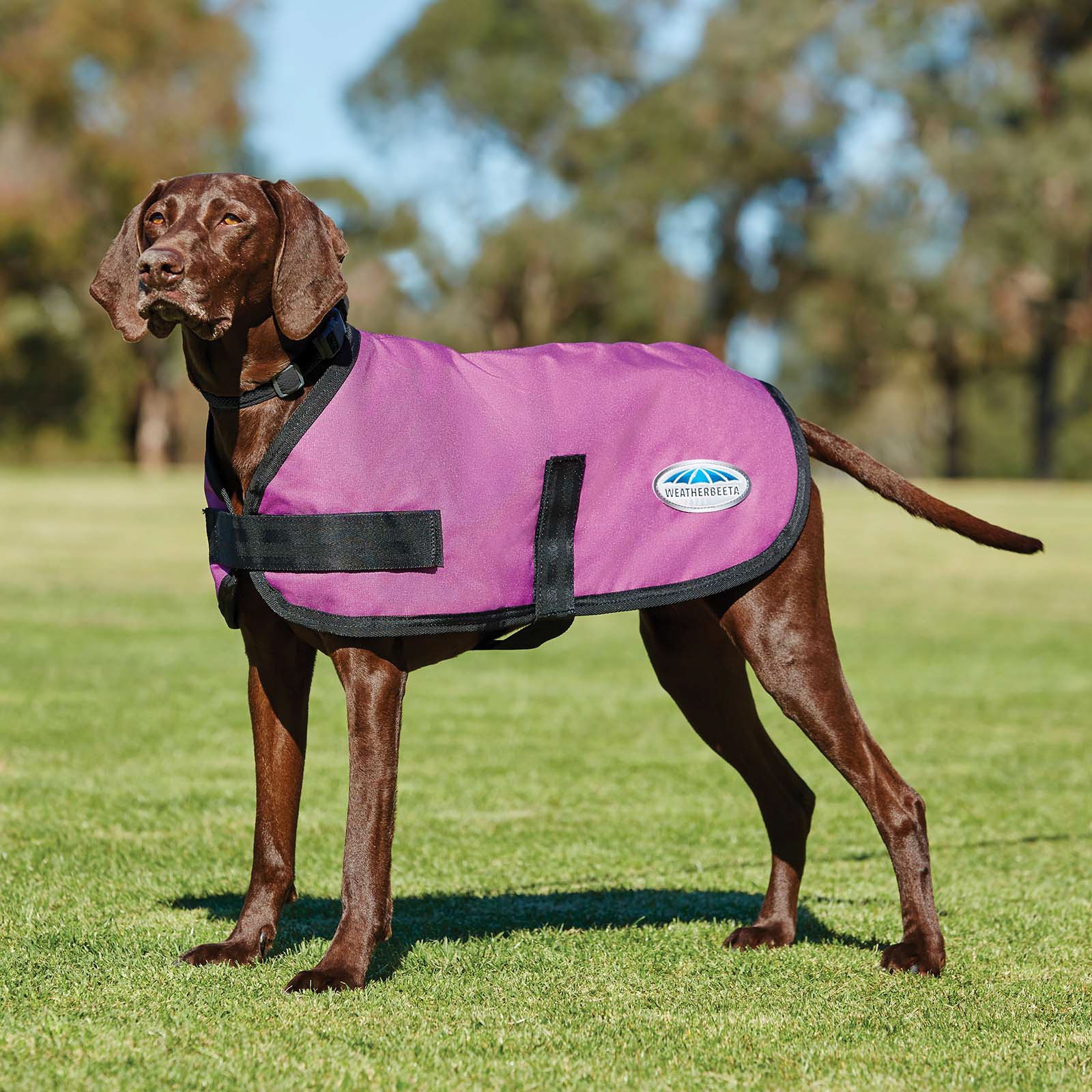 Pink Weatherbeeta Comfitec Cappotto per cani, modello classico (45-80 cm)
