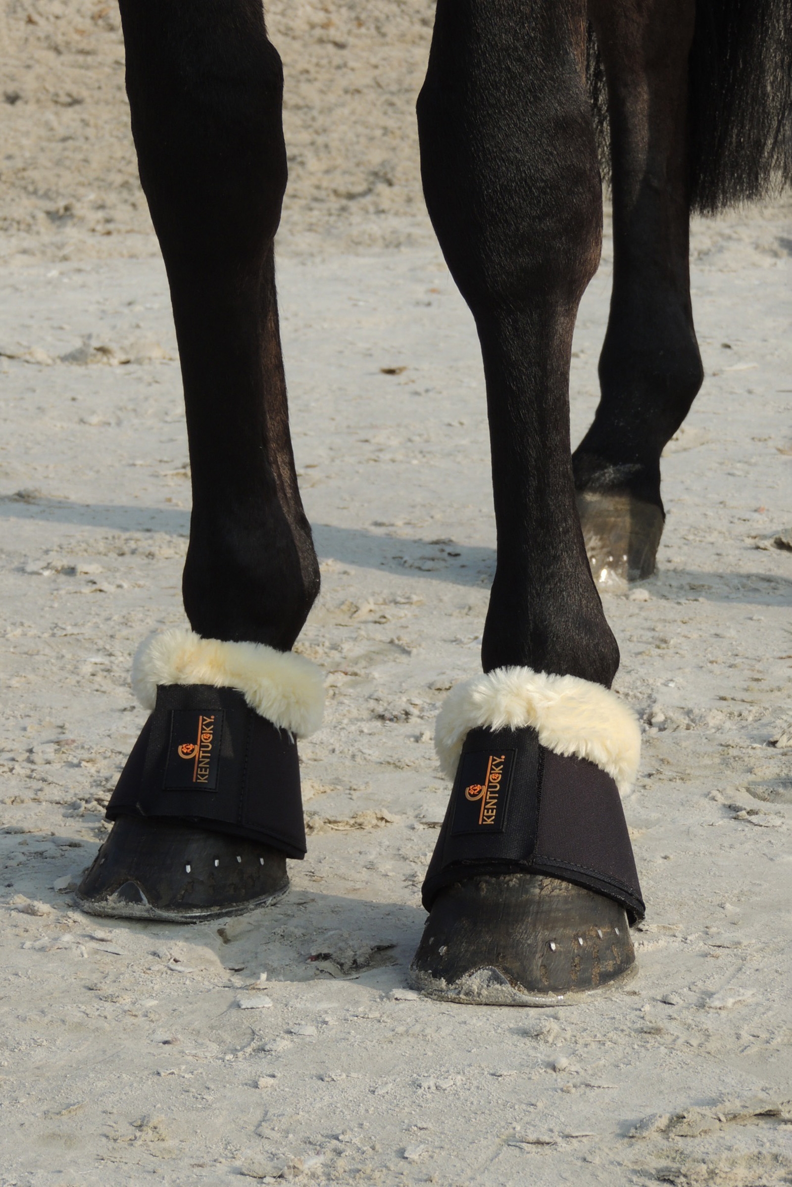 Stivali overreach in pelle di pecora Kentucky Horsewear