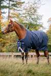 Horseware Amigo Bravo 12 Original coperta da turnout, 250g