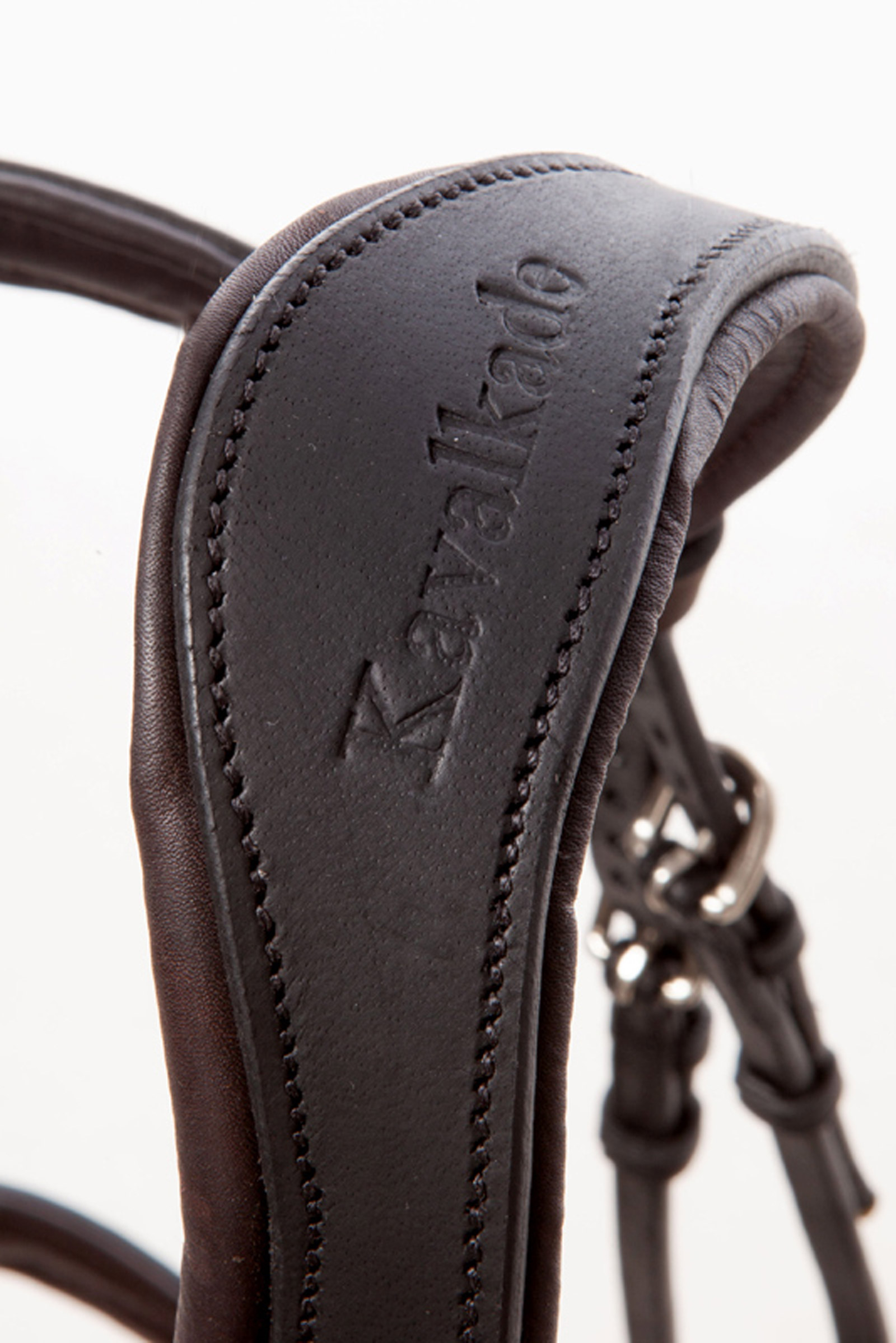 Briglia Kavalkade EveryDay