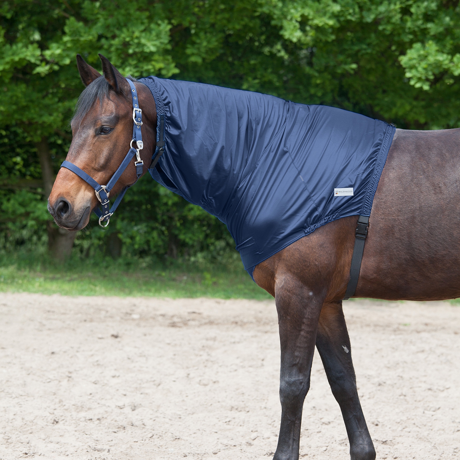 Waldhausen copricollo anti-dermite