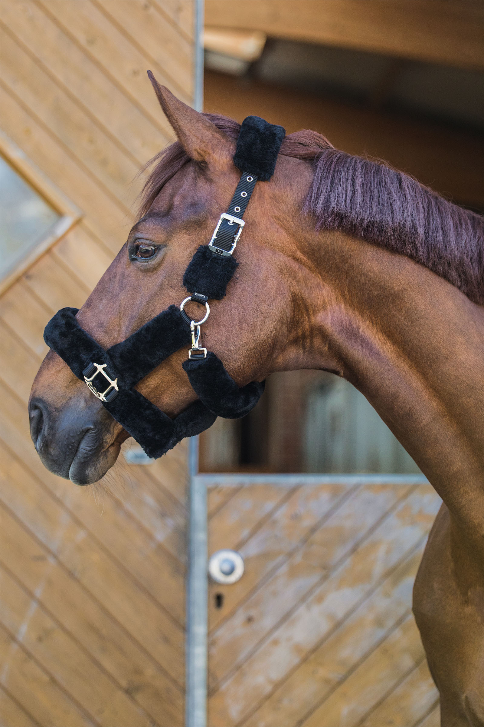 Back on Track Audrey cavezza