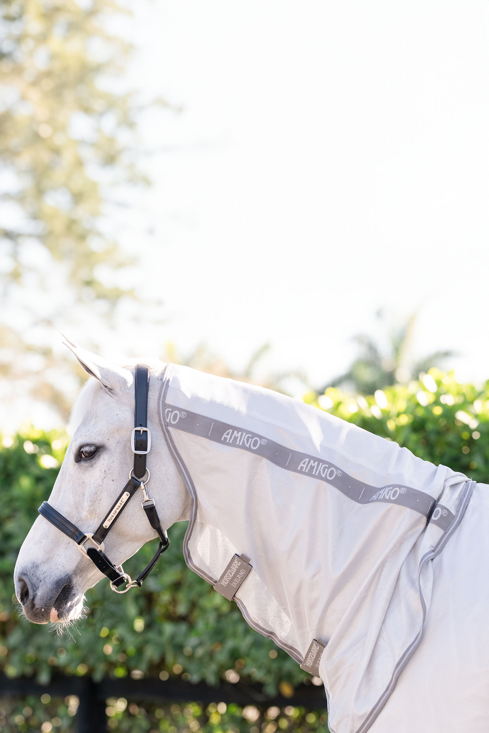 Horseware Amigo Coperta Anti-insetti Integrata