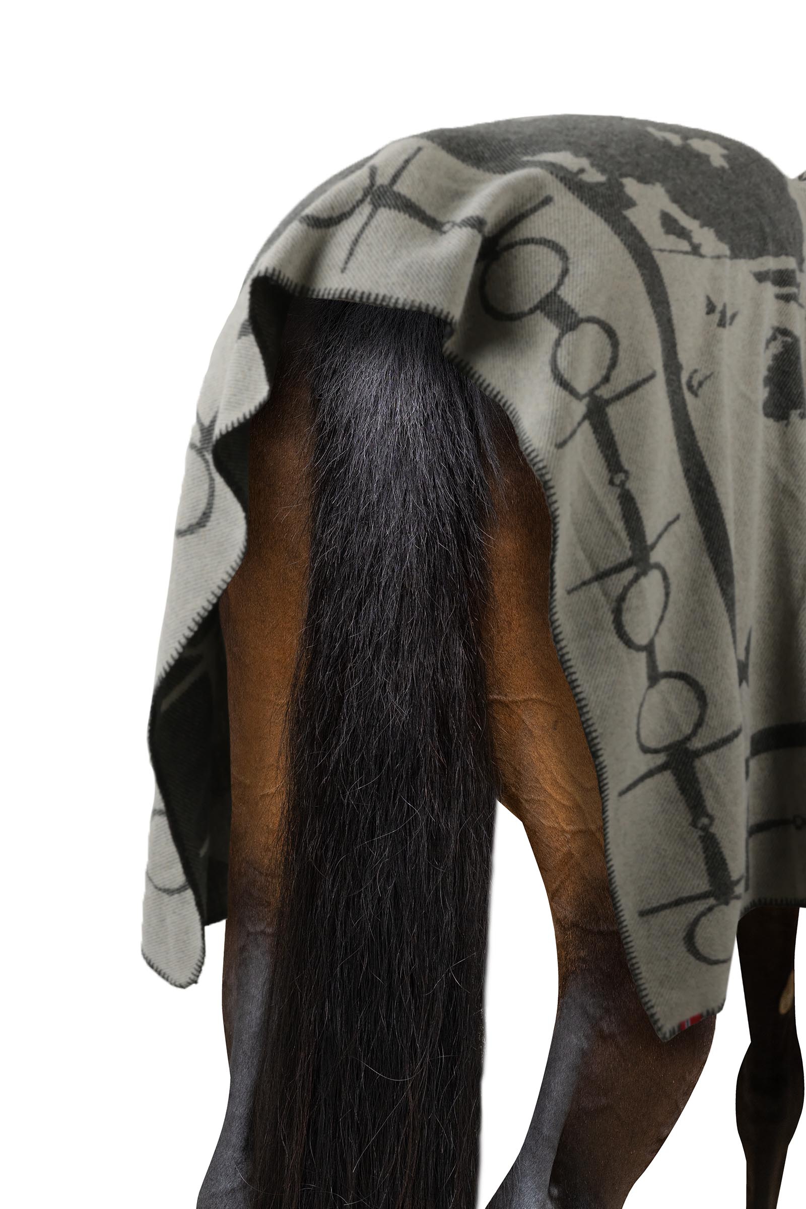 B Vertigo Coperta stampata con cavallo e morso