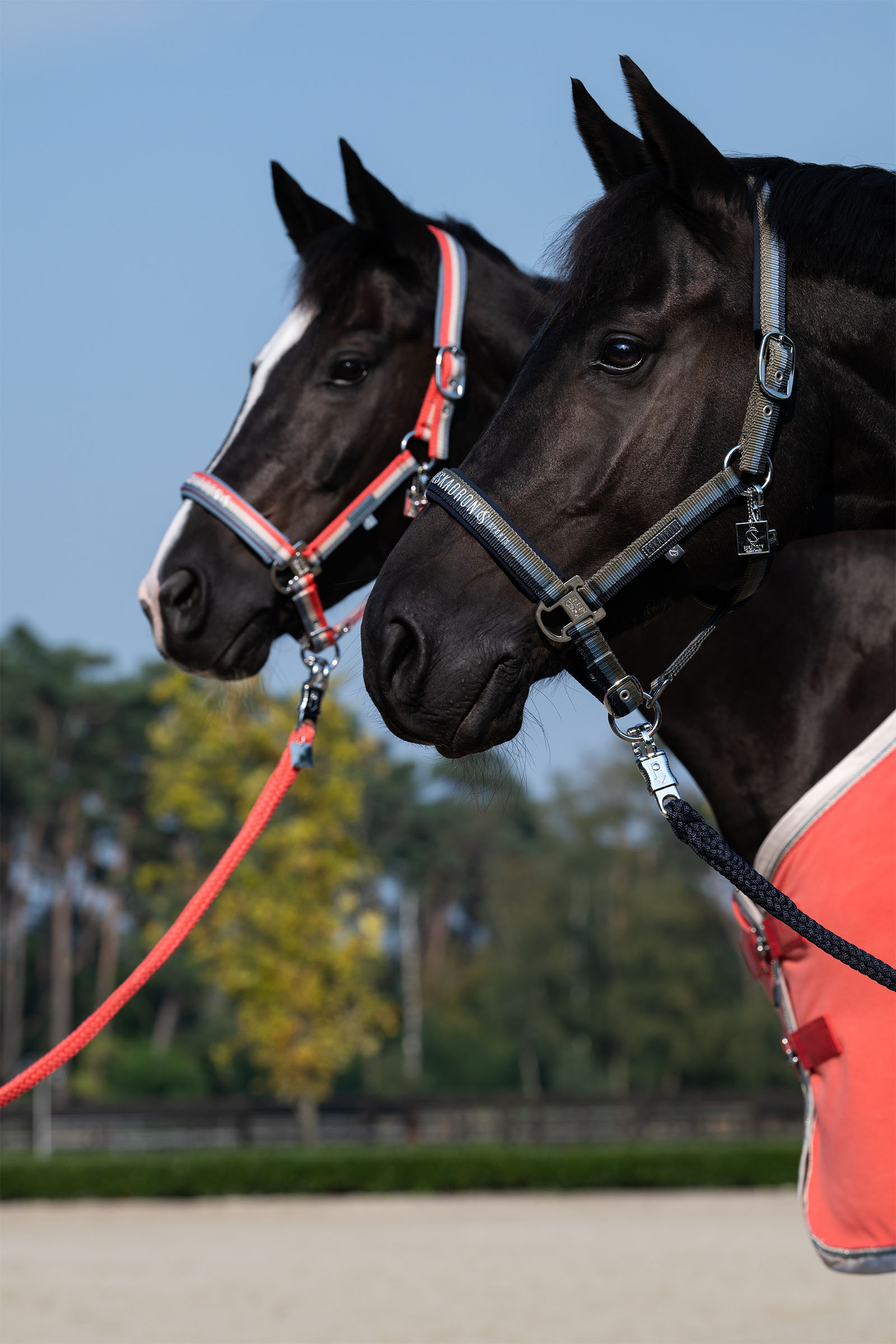 Eskadron Classic Sports SS25 Capezza con doppia fibbia