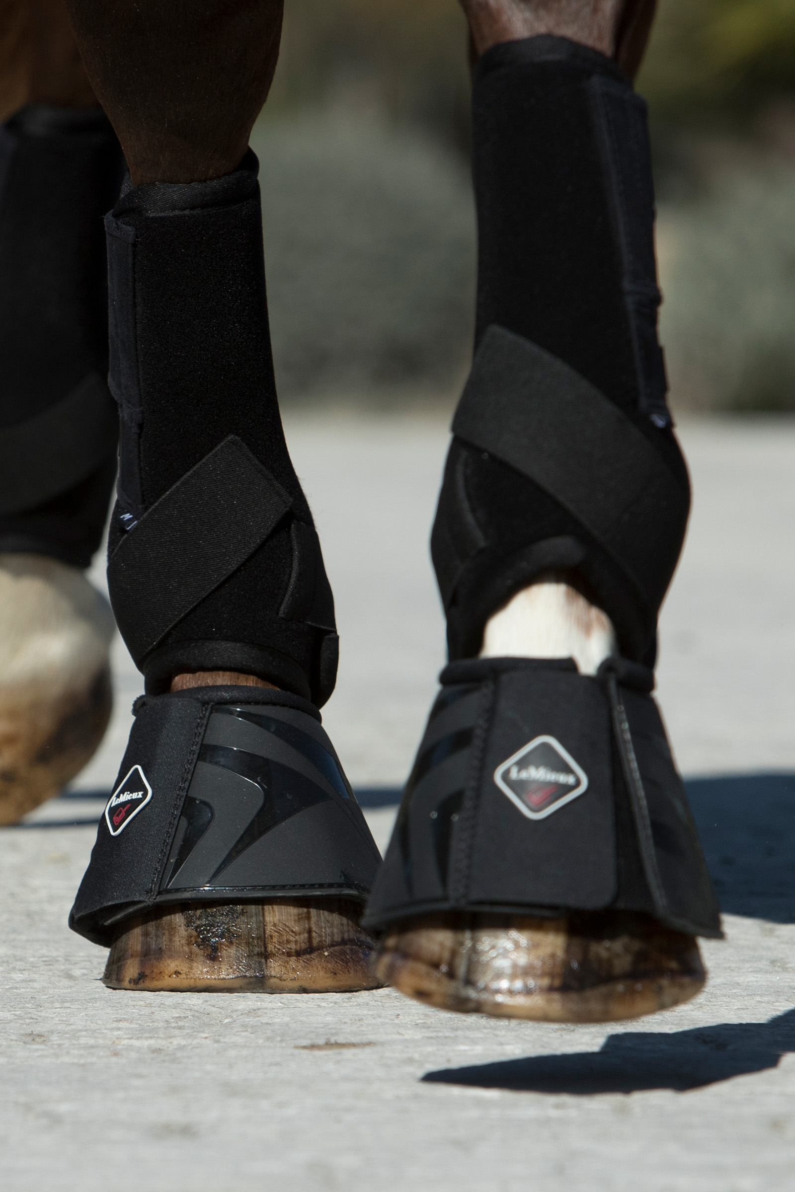 LeMieux Ultra Support Stinchiere