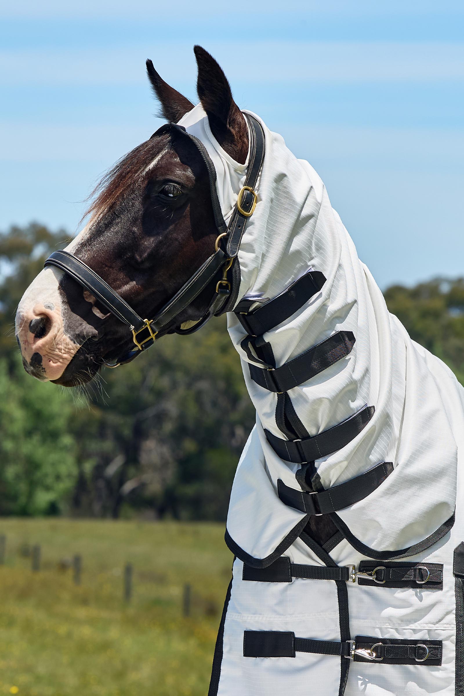 Weatherbeeta ComFiTec Sweet Itch Shield Coperta antimosche combo con collo fisso, 0 g  