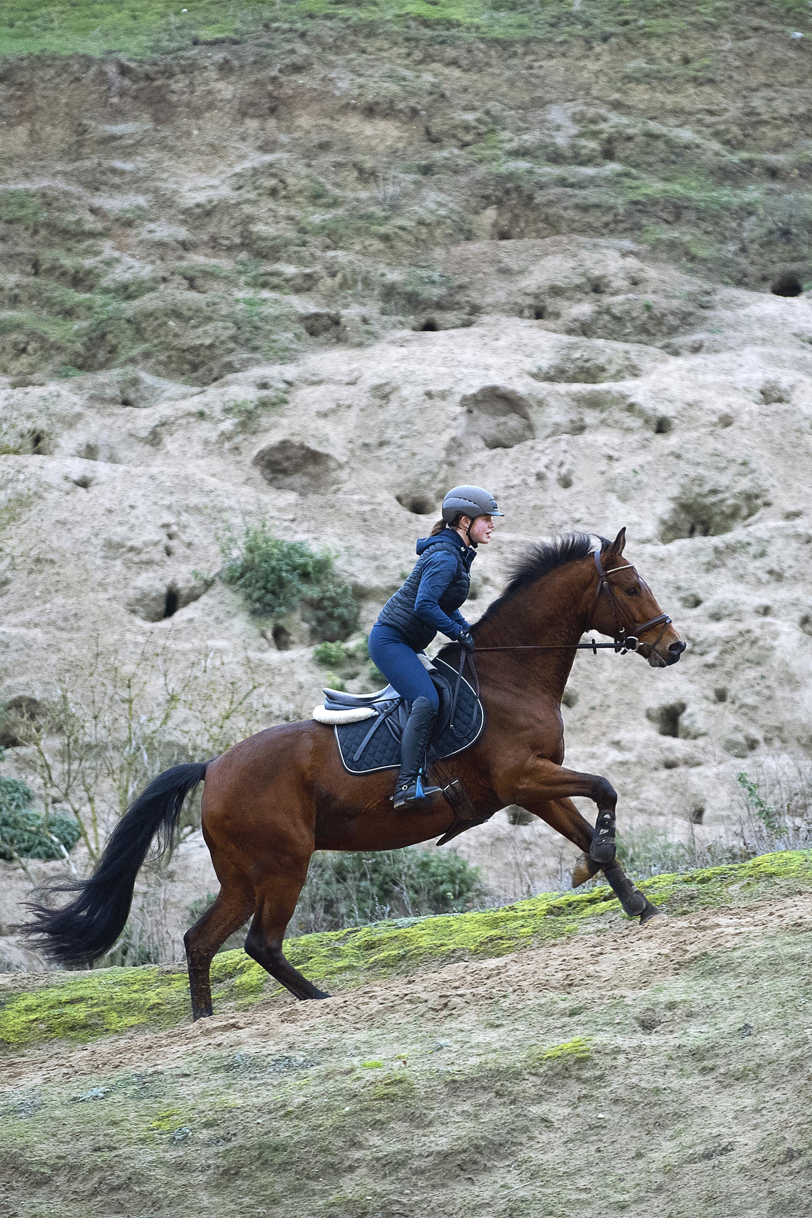 Casco da equitazione Uvex elexxion tocsen
