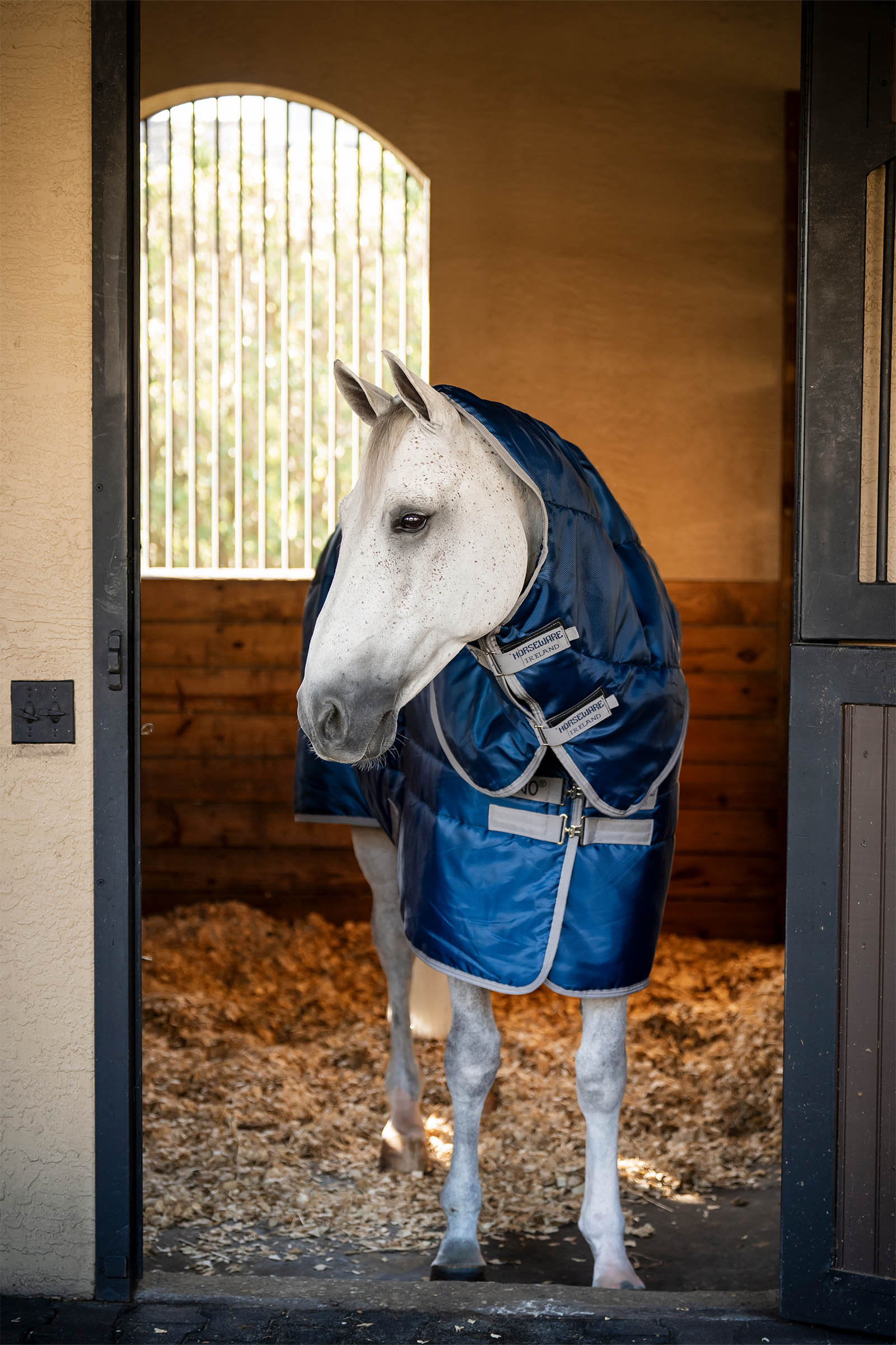 Horseware Amigo Ripstop Insulator Plus coperta da box, 200 g