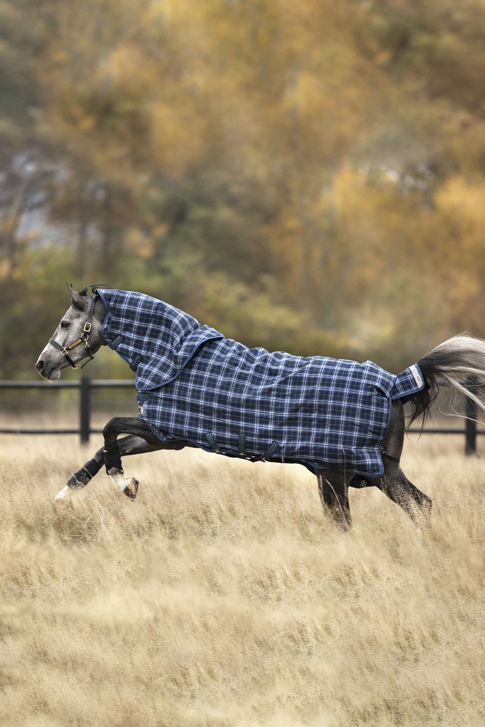 Horseware Rhino Plus Vari-Layer coperta da paddock con collo staccabile, 250 g