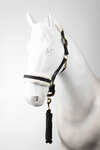 Horze cavezza e longhina set