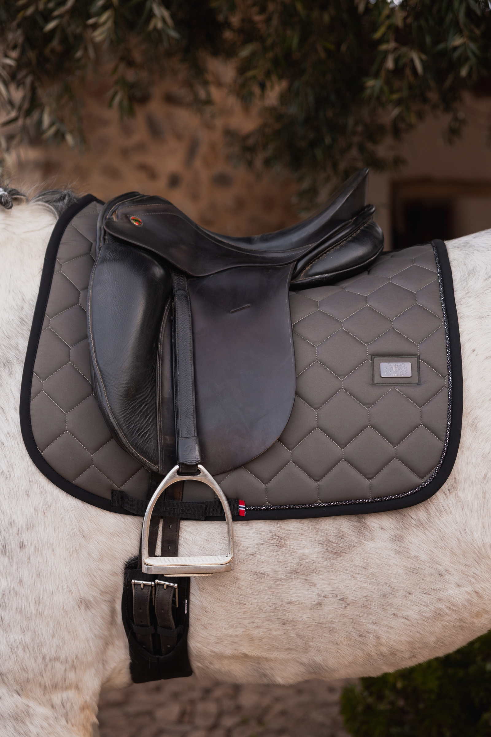 B Vertigo Onyx Sottosella dressage