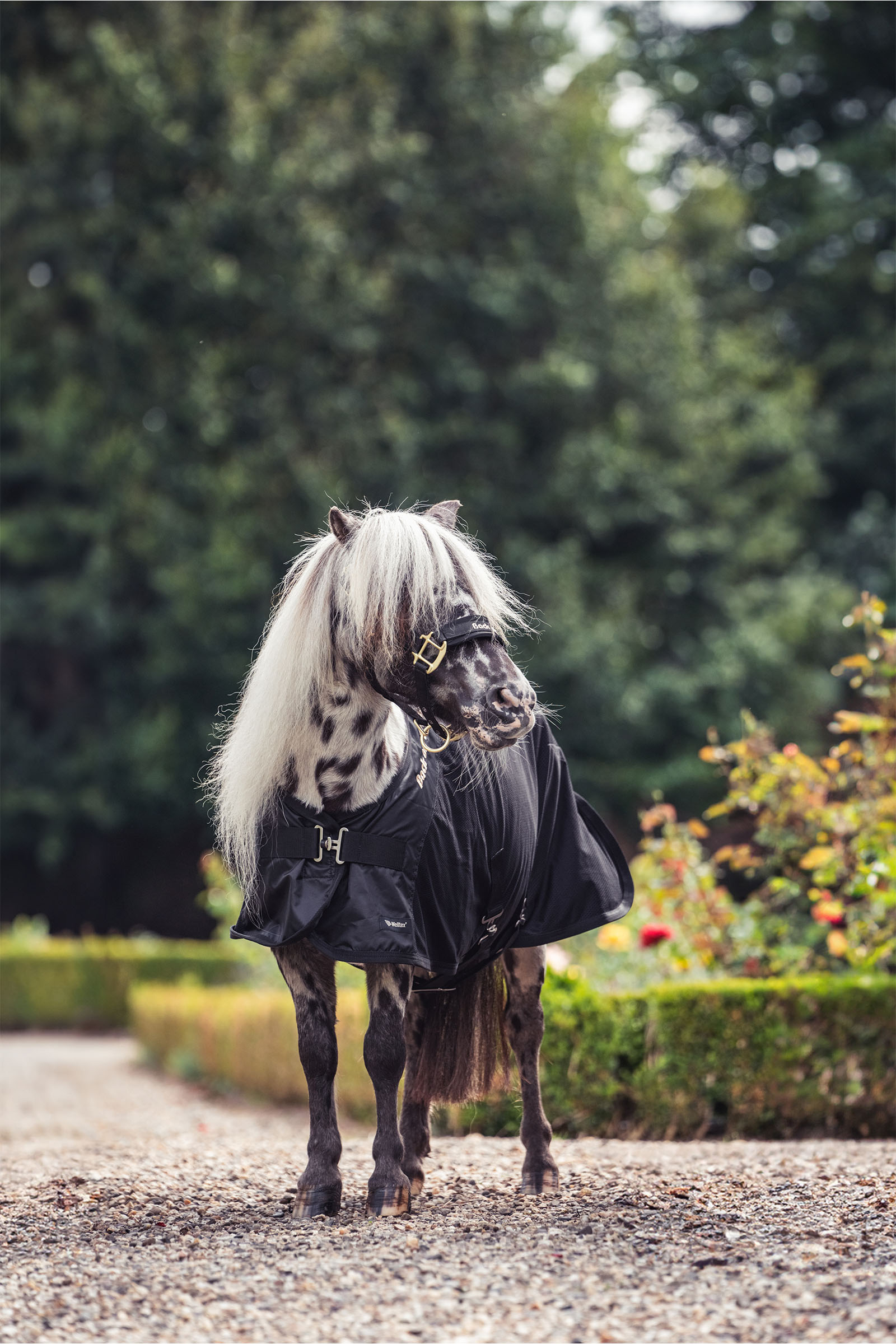 Back on Track Royal Coperta in Rete per Pony Deluxe