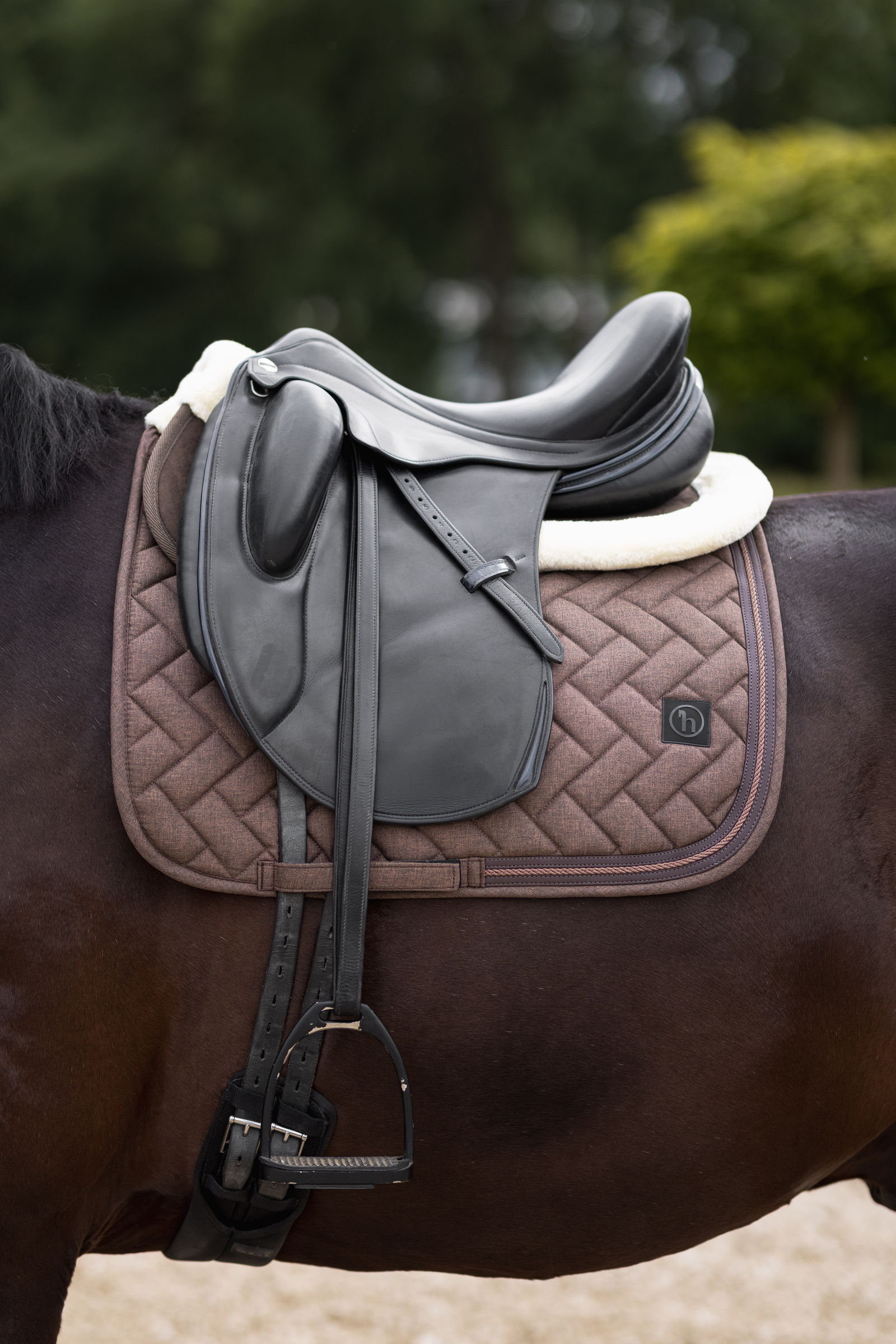 Matching Espresso Brown Shades for your Horse