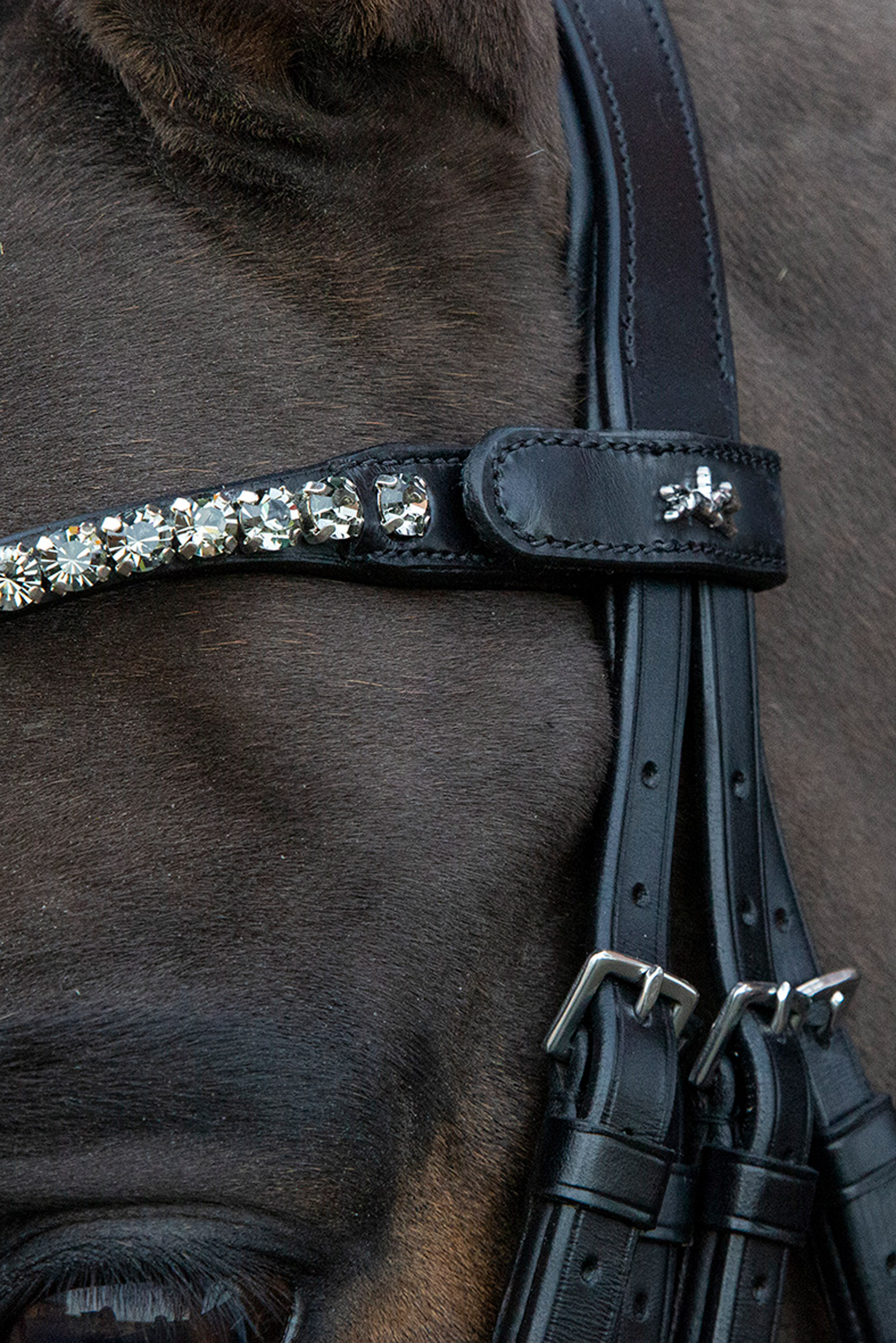 Schockem&ouml;hle Sports Milazzo Bridone