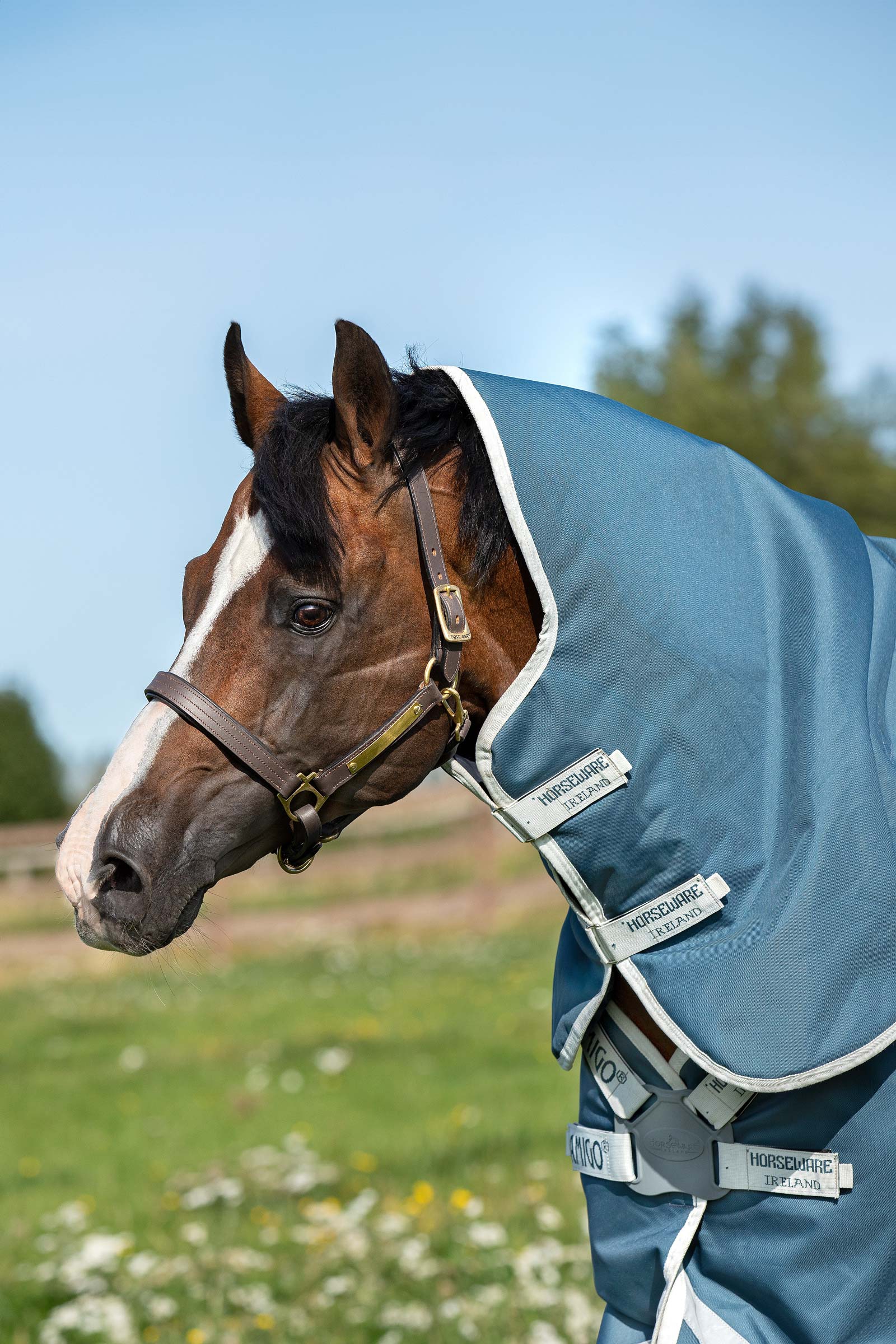 Horseware Amigo AmEco 12 Plus coperta da turnout con collo staccabile, 0 g