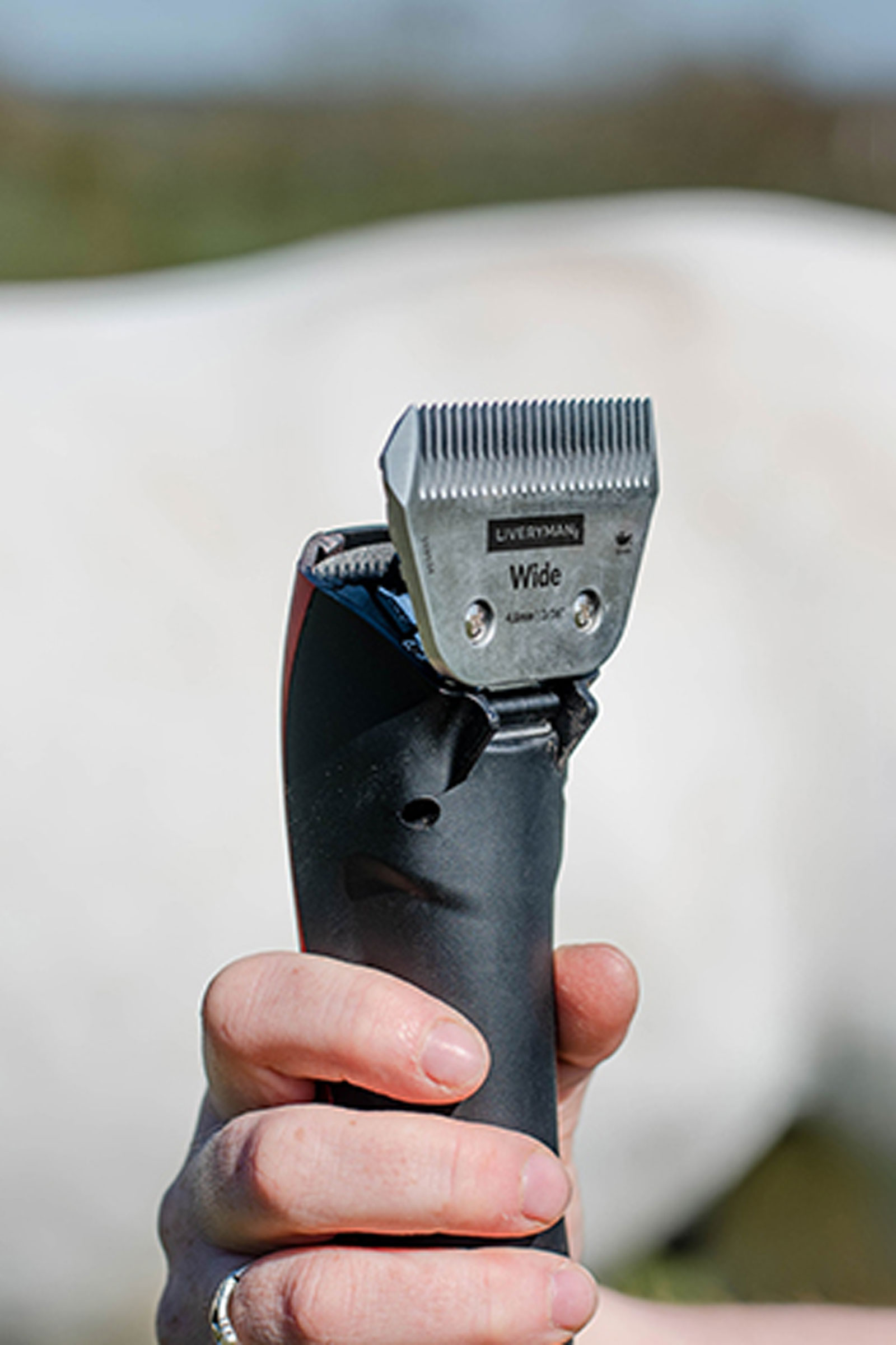 Liveryman A5 Snap-on Blade Wide Fine, 2,4 mm