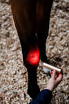 Horseware Bacchetta terapeutica a LED con luce rossa
