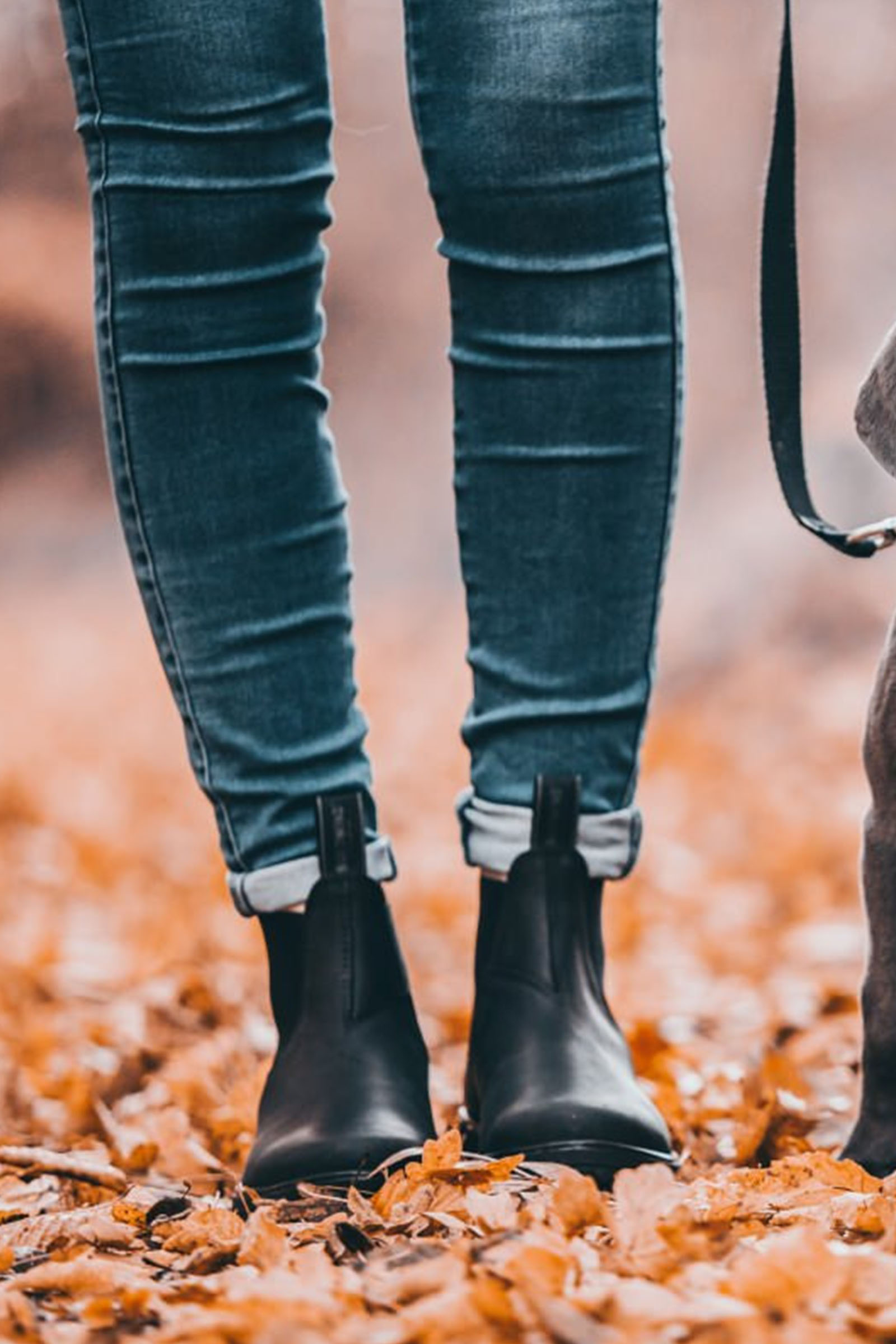 Suedwind Footwear 1888 Stivaletti Jodhpur Chelsea