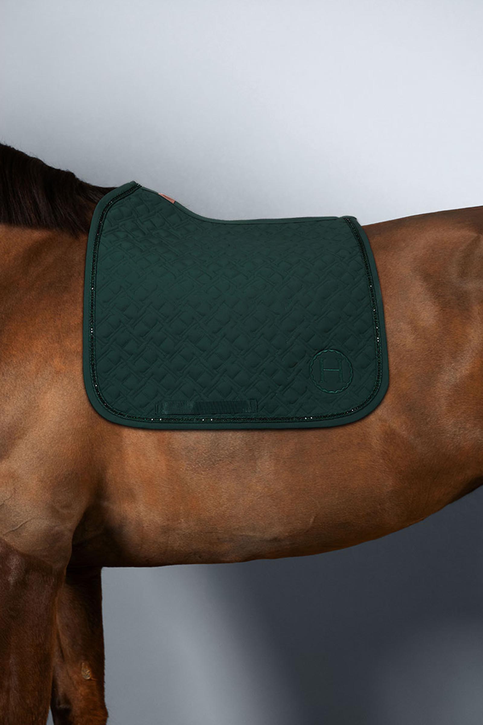 Jungle  Harcour Saphir sottosella pony