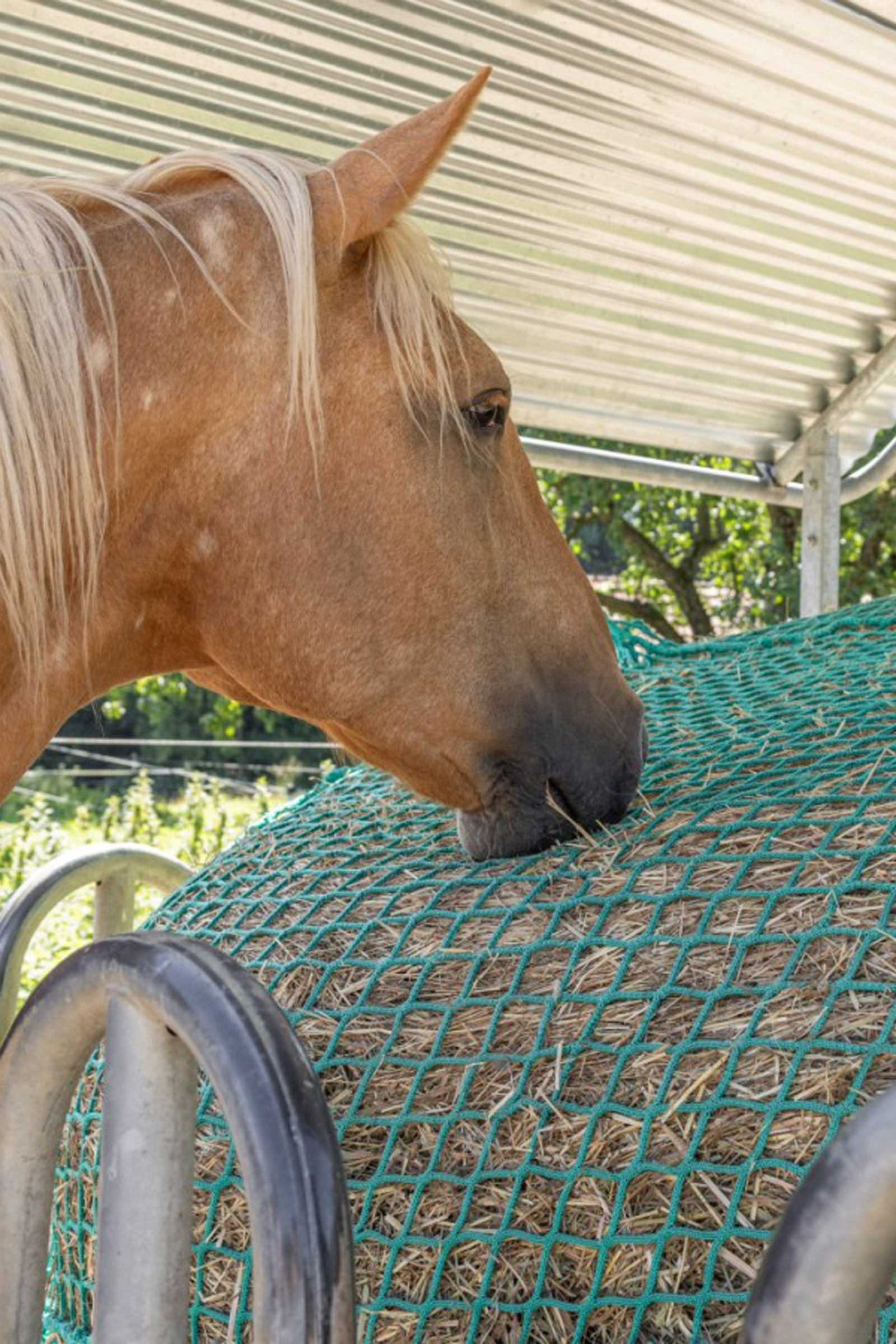 Rete da fieno Kerbl per balle tonde, appesa