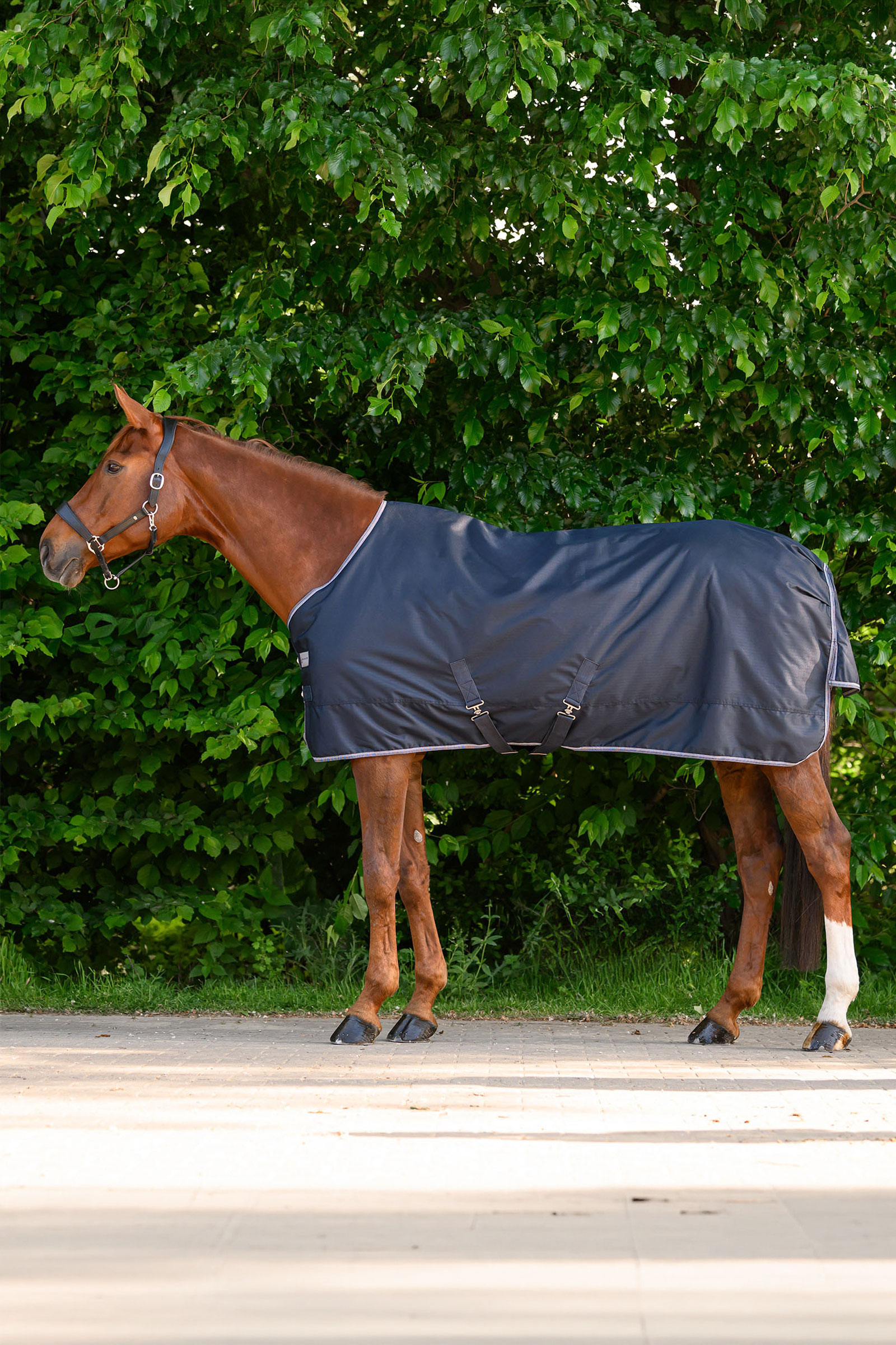 Waldhausen ECONOMIC coperta outdoor, 200g